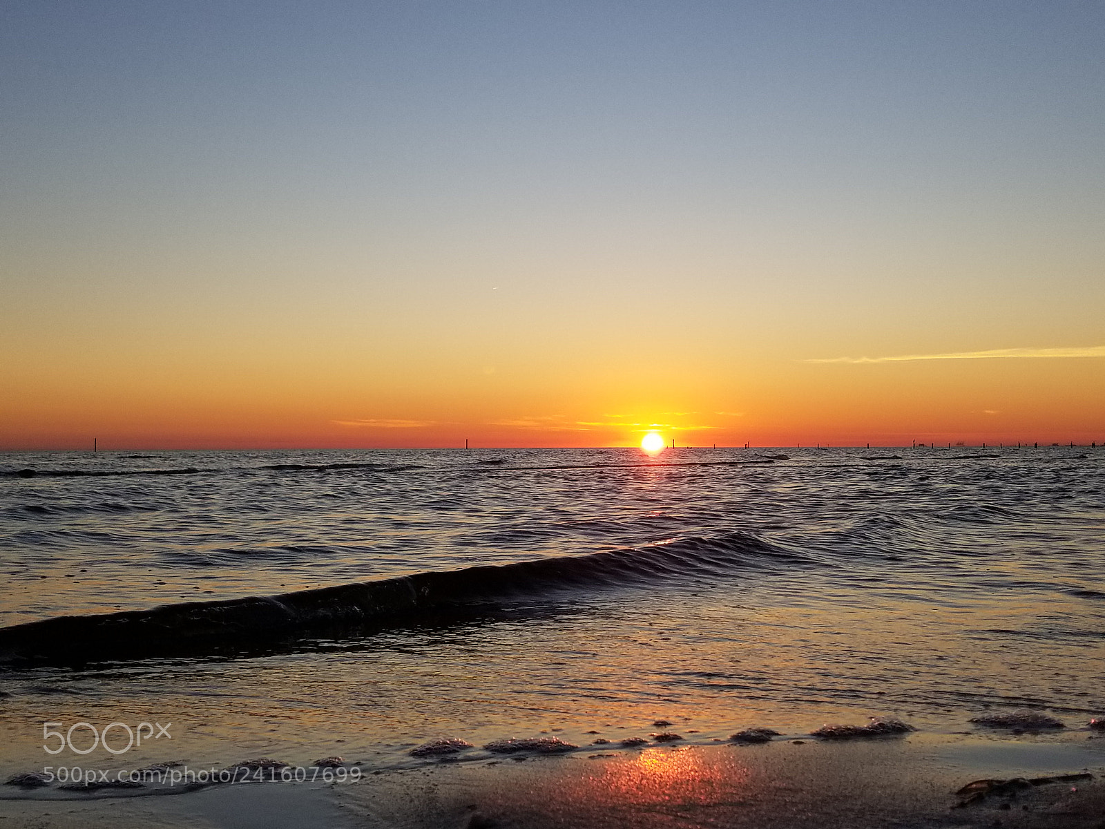 Samsung Galaxy S8 sample photo. Untitled photography