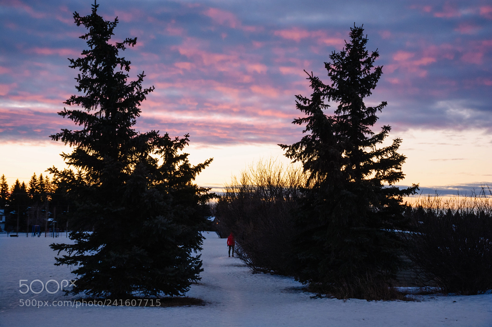Nikon D7100 sample photo. Early walk photography