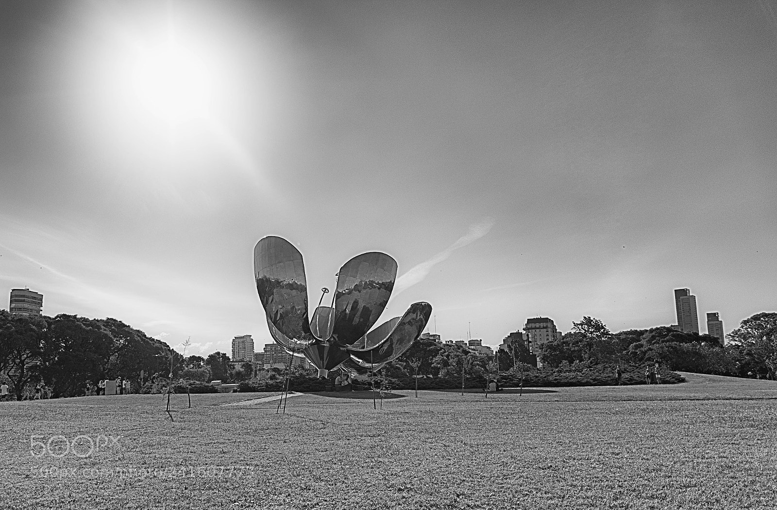 Nikon D7200 sample photo. Floralis genérica photography