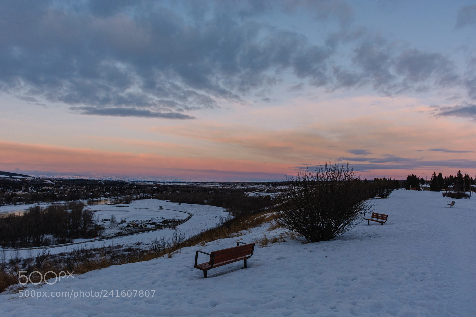 Nikon D7100 sample photo. The colours of a photography