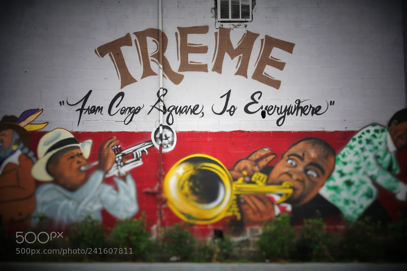 Sony a6000 + Sony E 18-50mm F4-5.6 sample photo. Treme photography