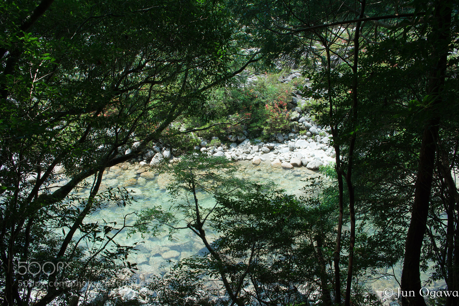 Pentax K-70 sample photo. Yakushima forest - river photography