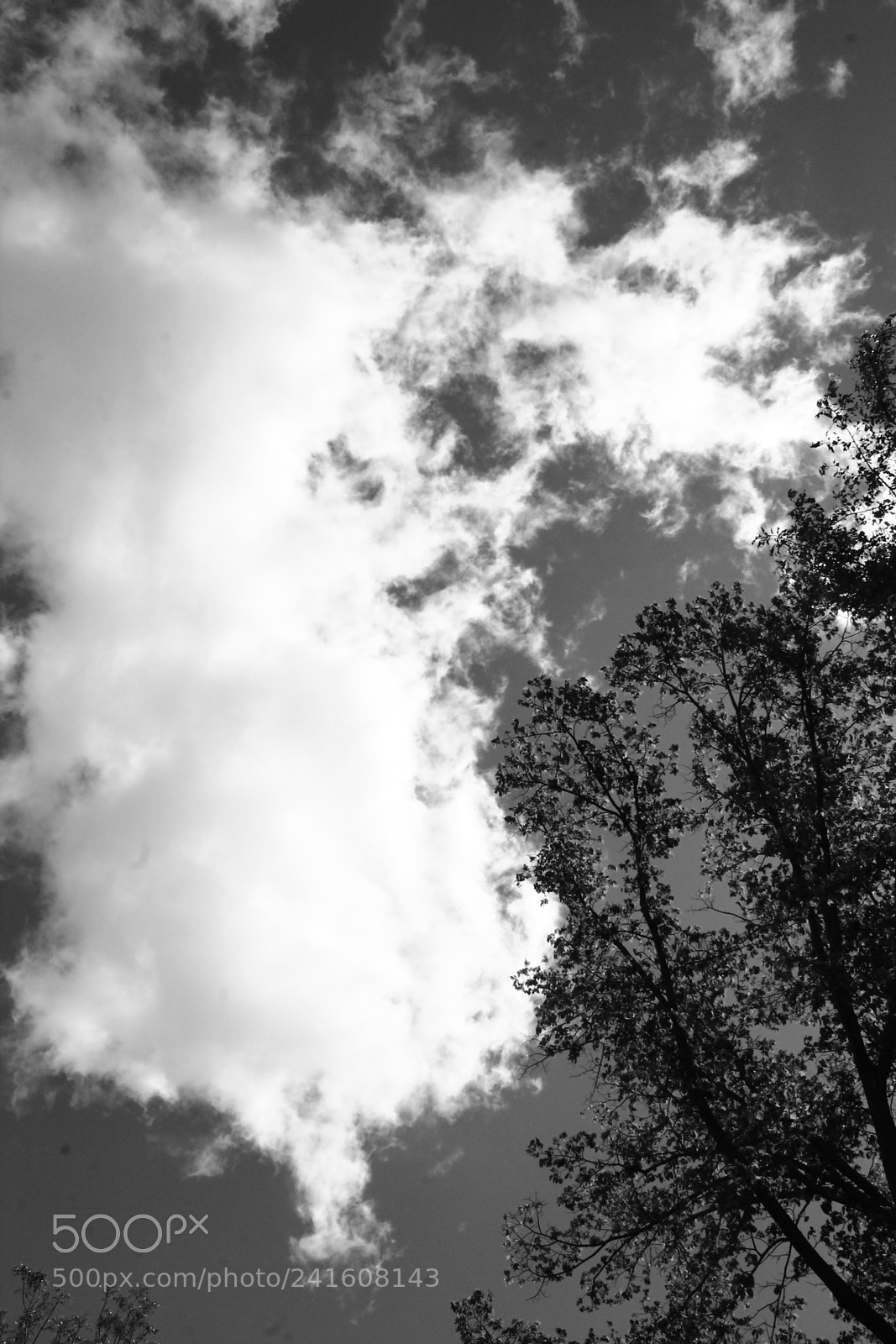 Canon EOS 1100D (EOS Rebel T3 / EOS Kiss X50) sample photo. Daydream photography