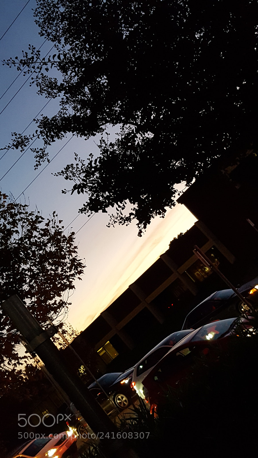 Samsung Galaxy S6 sample photo. Untitled photography
