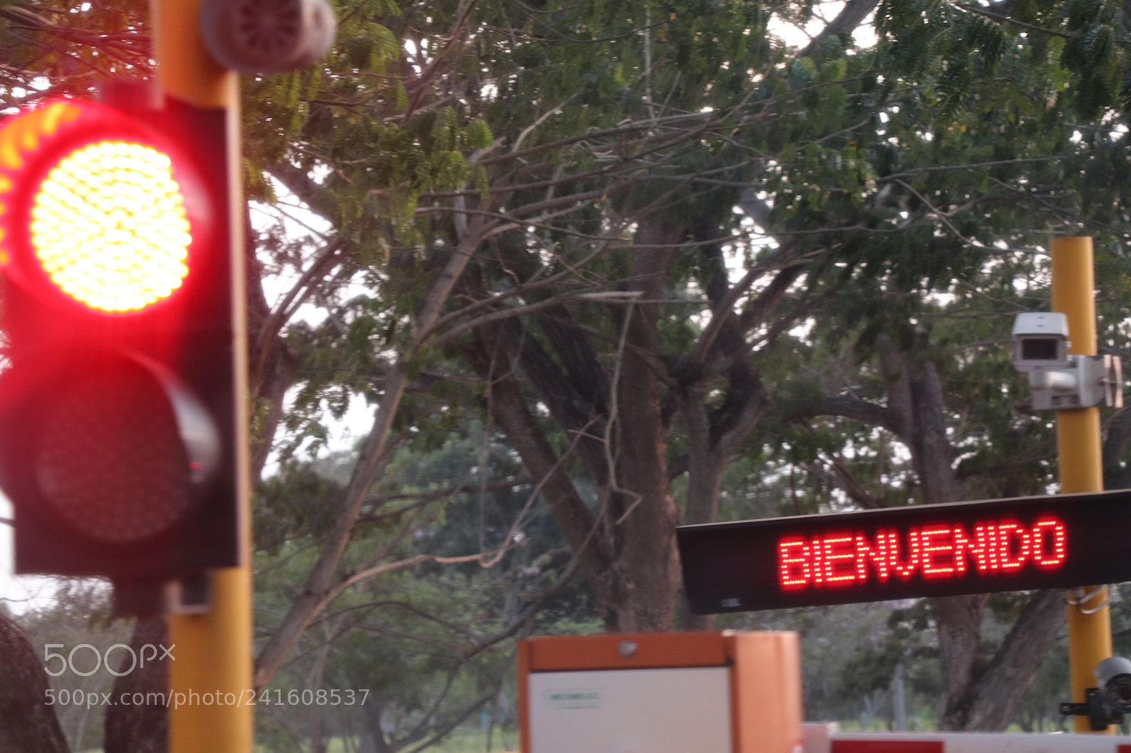 Canon EOS 77D (EOS 9000D / EOS 770D) sample photo. Bienvenido a monteria photography