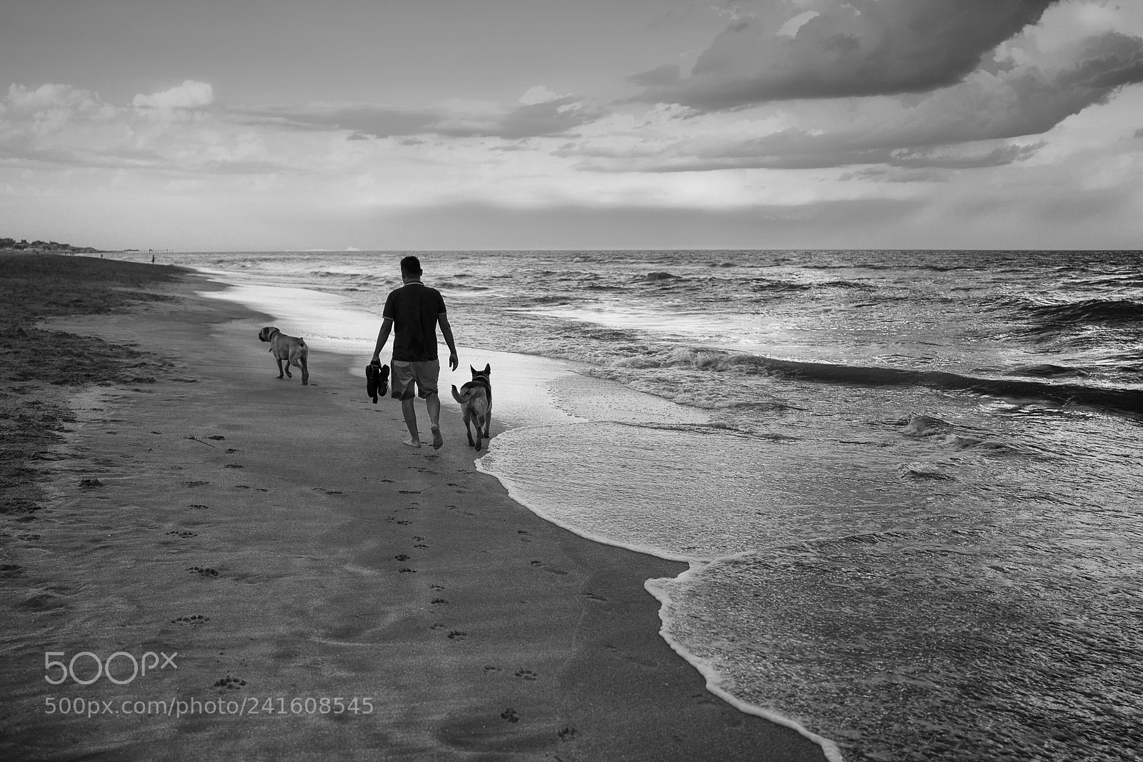 Leica Q (Typ 116) sample photo. Caminando en las playas photography