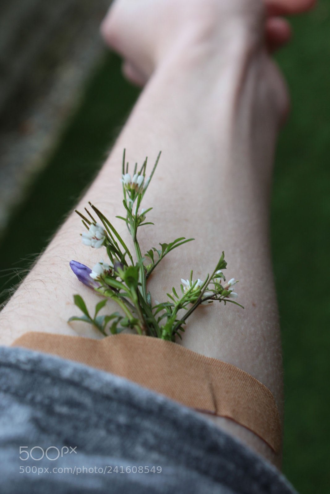 Canon EOS 1200D (EOS Rebel T5 / EOS Kiss X70 / EOS Hi) sample photo. The skinniest of us photography