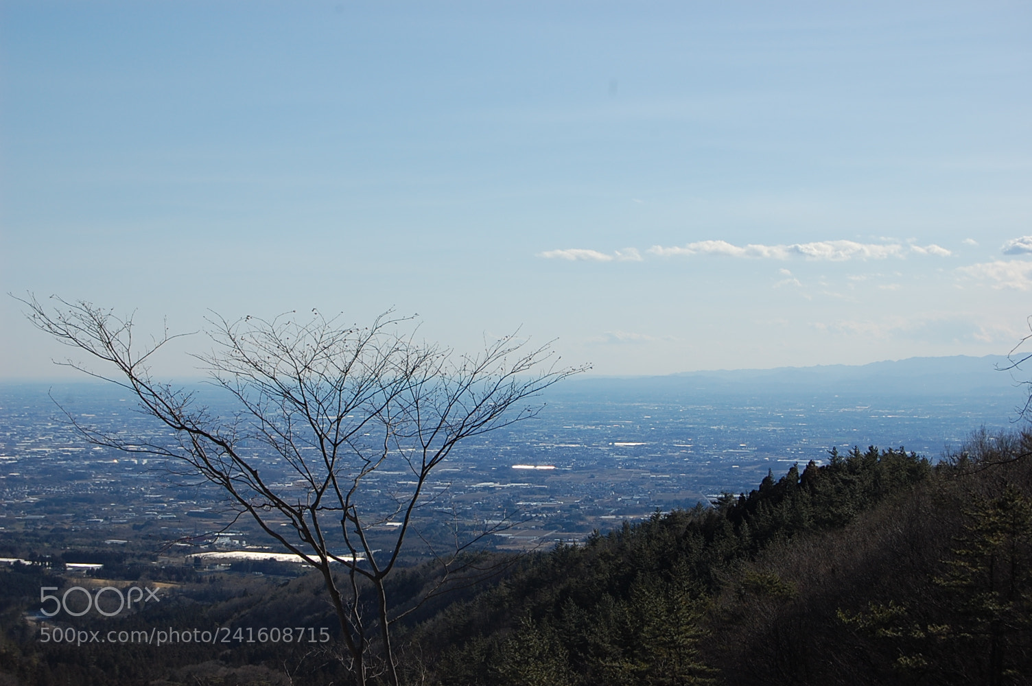 Nikon D40 sample photo. Untitled photography
