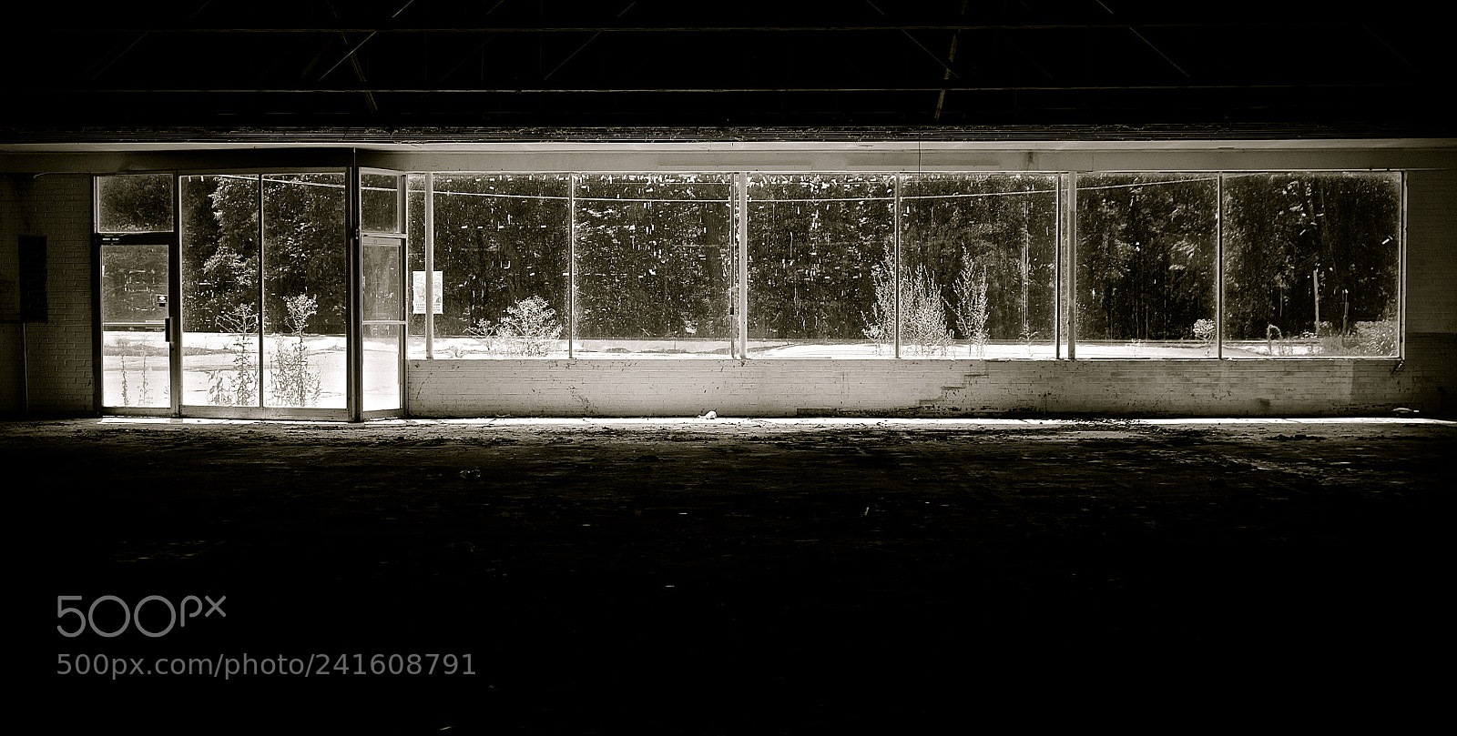 Sony Alpha NEX-3N sample photo. Abandoned on the inside photography