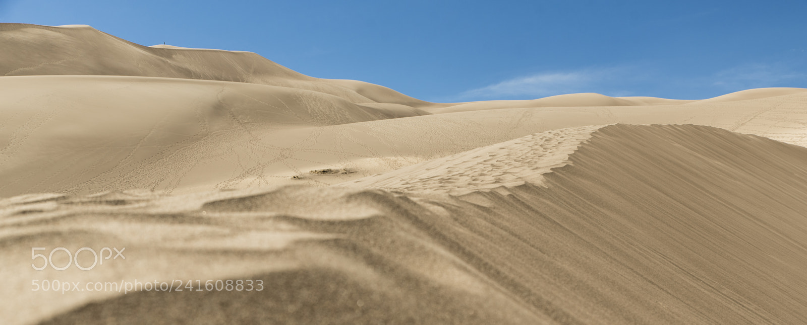Nikon D750 sample photo. Great sand dunes photography