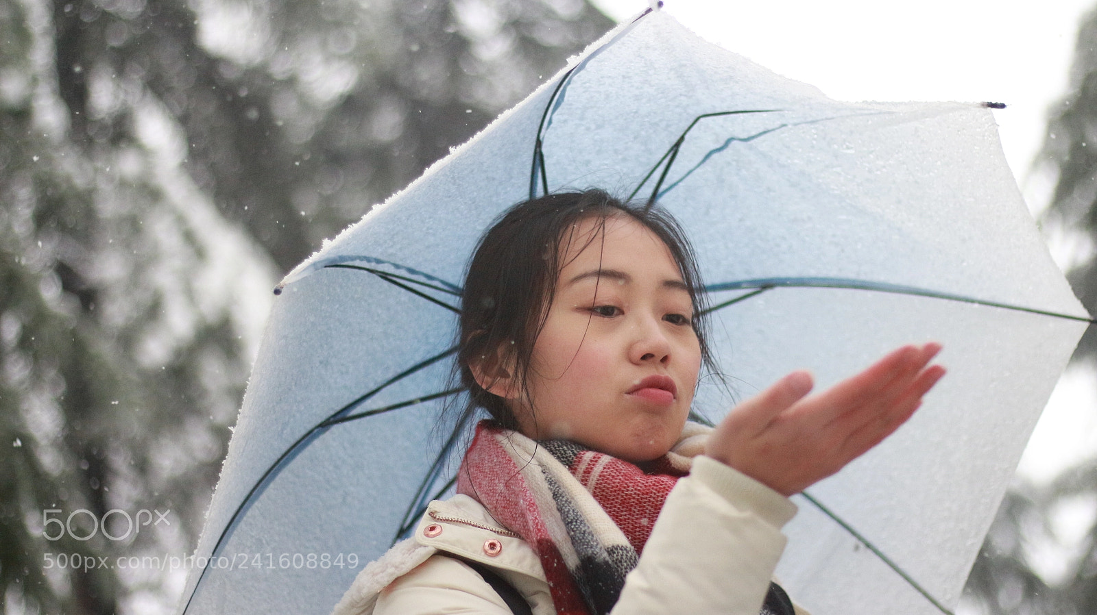 Canon EOS 700D (EOS Rebel T5i / EOS Kiss X7i) + Canon EF 50mm F1.8 STM sample photo. Untitled photography