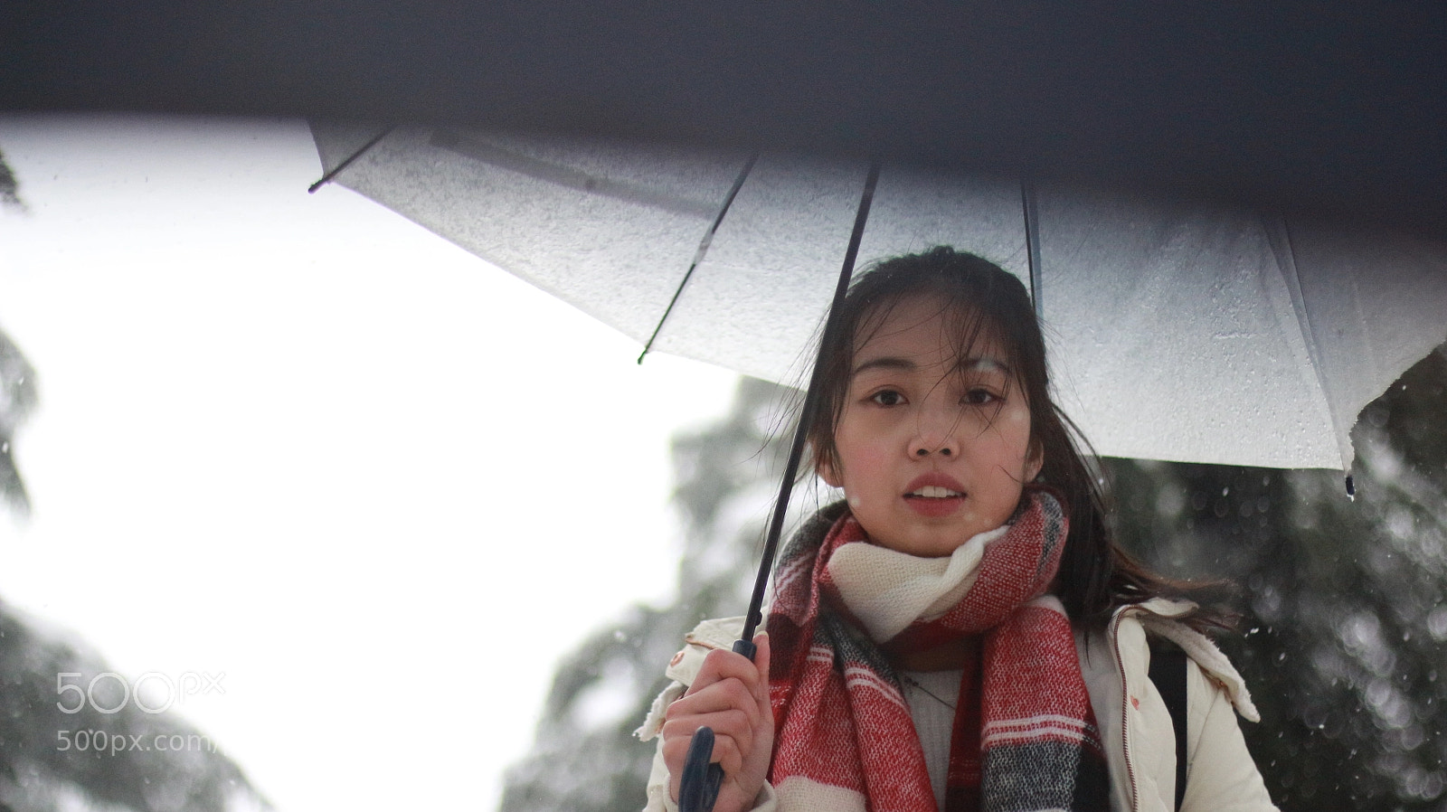 Canon EOS 700D (EOS Rebel T5i / EOS Kiss X7i) + Canon EF 50mm F1.8 STM sample photo. Untitled photography