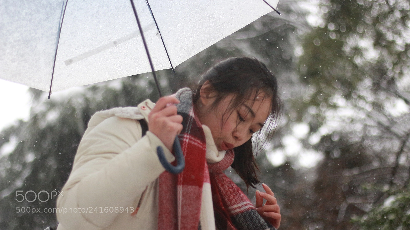 Canon EOS 700D (EOS Rebel T5i / EOS Kiss X7i) + Canon EF 50mm F1.8 STM sample photo. Untitled photography