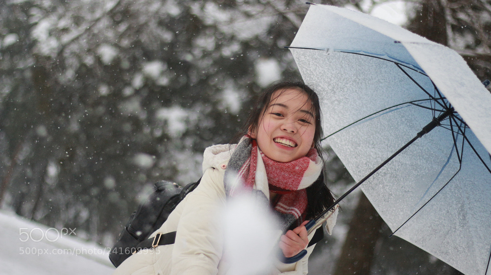Canon EOS 700D (EOS Rebel T5i / EOS Kiss X7i) + Canon EF 50mm F1.8 STM sample photo. Untitled photography