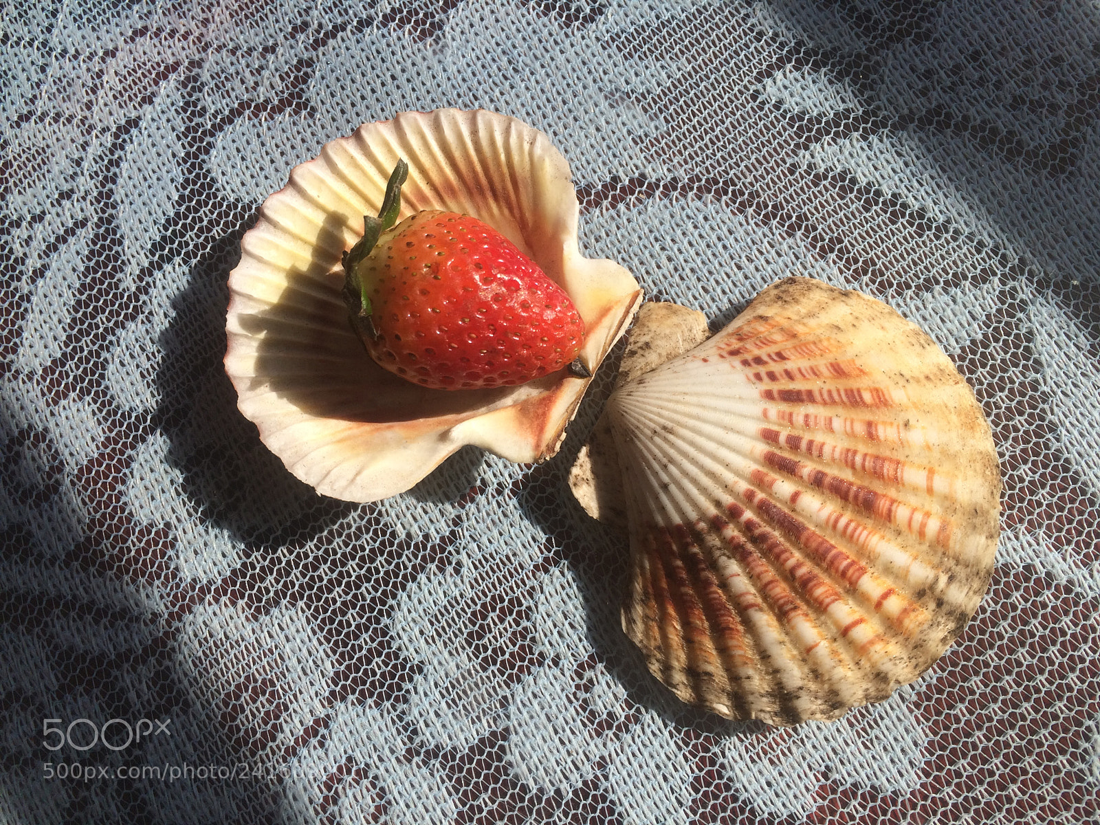Apple iPhone 5s sample photo. Sweet photography