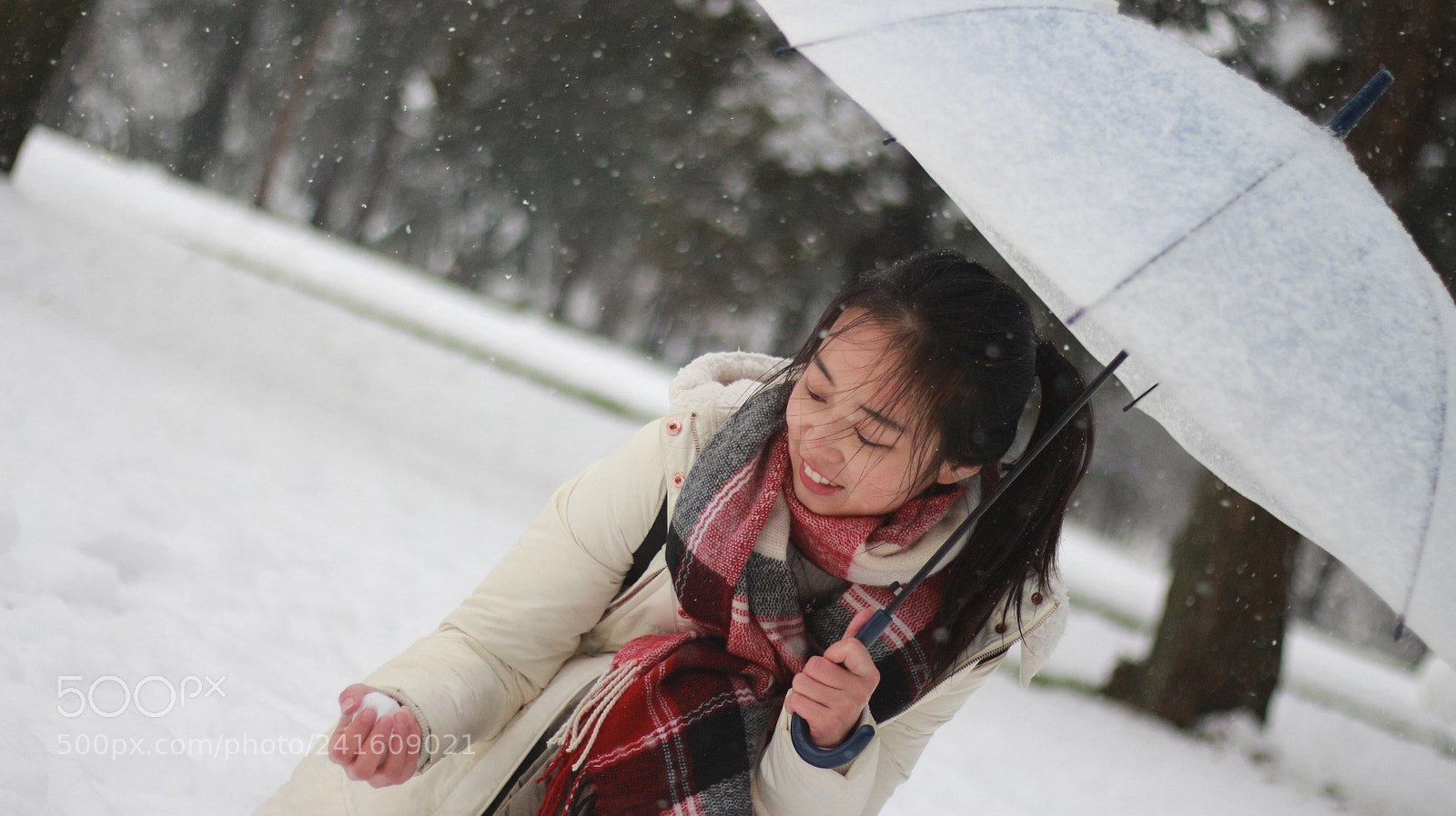 Canon EOS 700D (EOS Rebel T5i / EOS Kiss X7i) + Canon EF 50mm F1.8 STM sample photo. Untitled photography