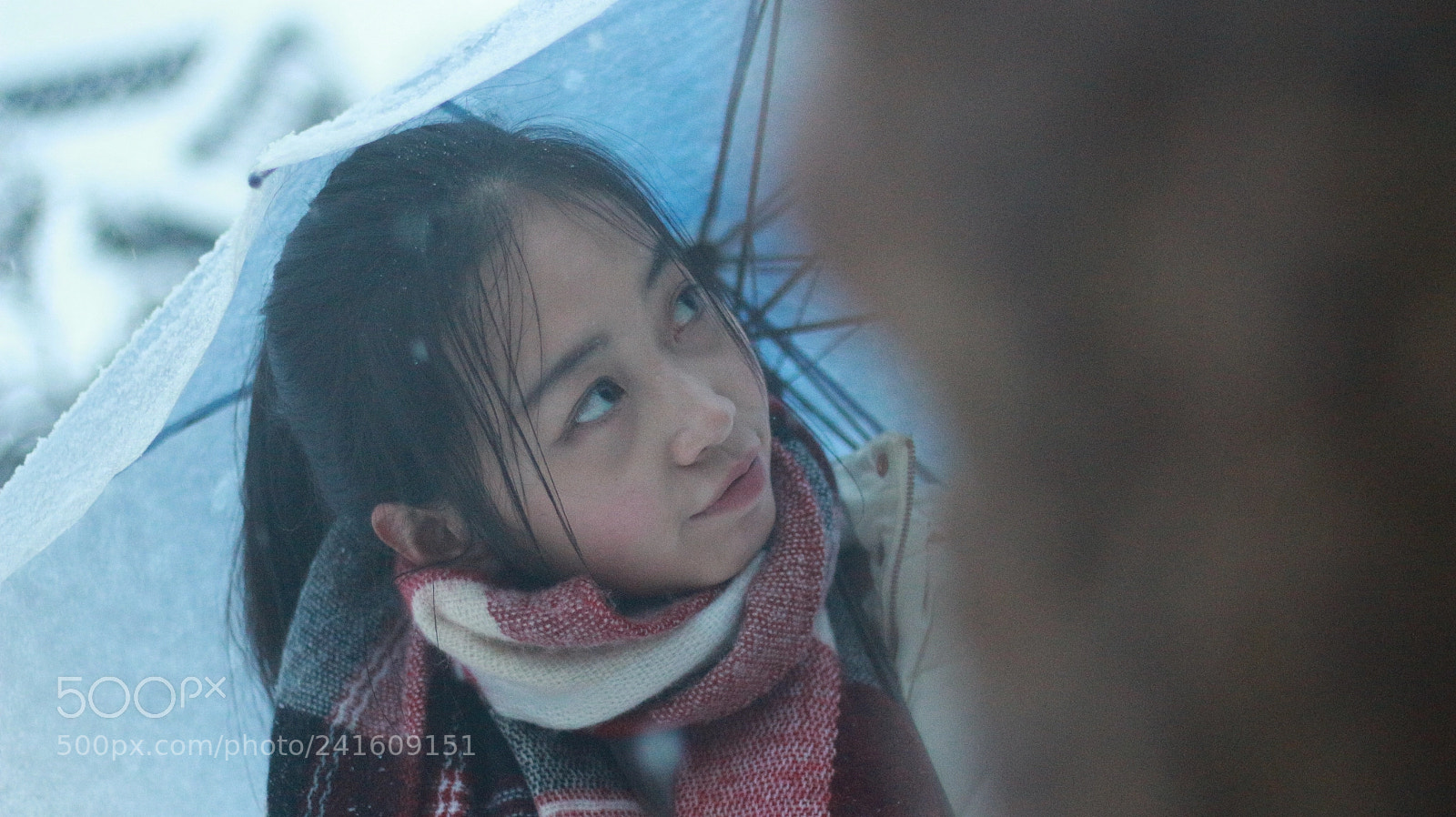 Canon EOS 700D (EOS Rebel T5i / EOS Kiss X7i) + Canon EF 50mm F1.8 STM sample photo. Untitled photography