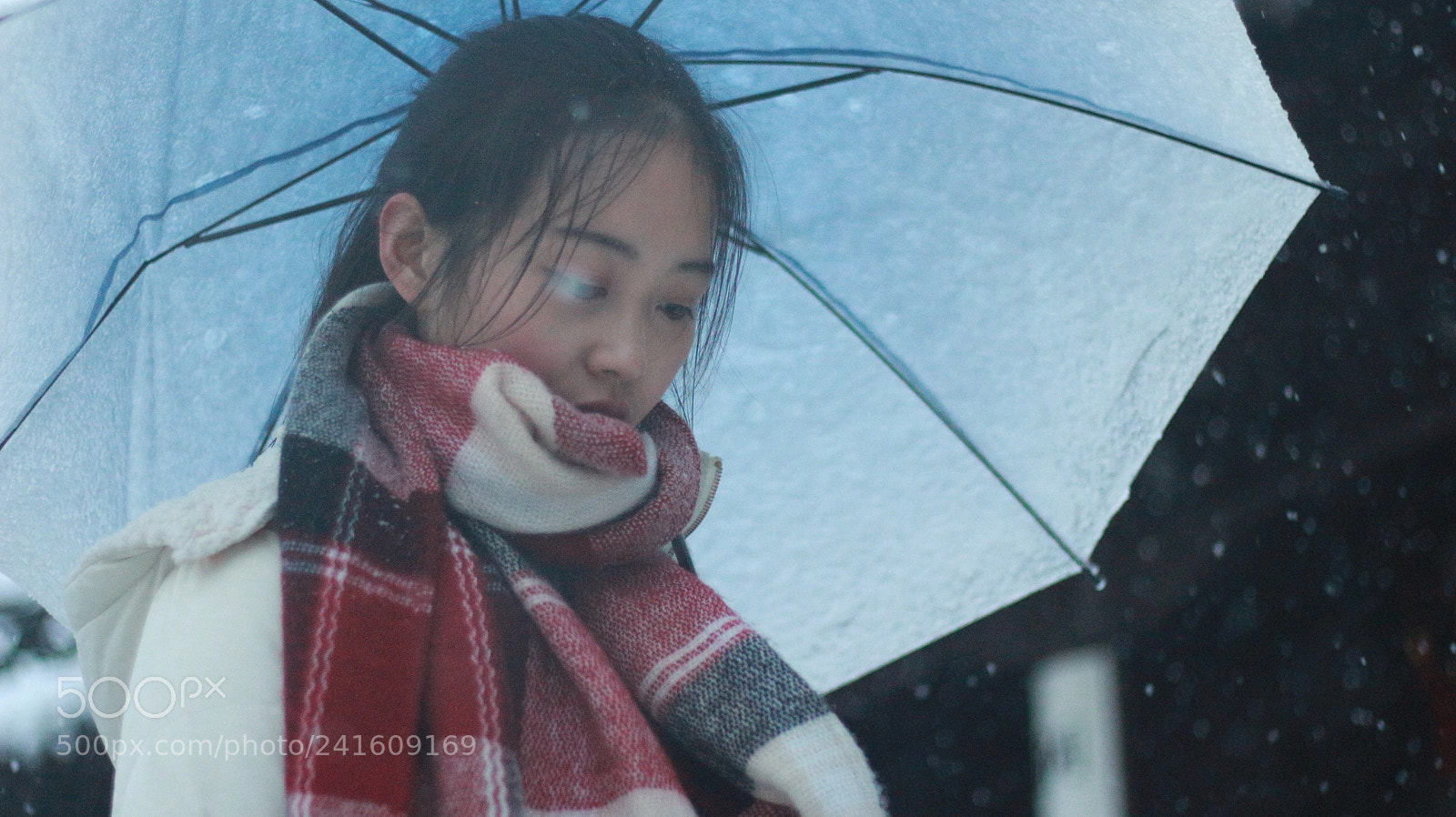 Canon EOS 700D (EOS Rebel T5i / EOS Kiss X7i) + Canon EF 50mm F1.8 STM sample photo. Untitled photography