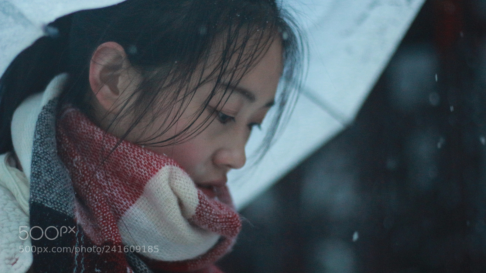 Canon EOS 700D (EOS Rebel T5i / EOS Kiss X7i) + Canon EF 50mm F1.8 STM sample photo. Untitled photography