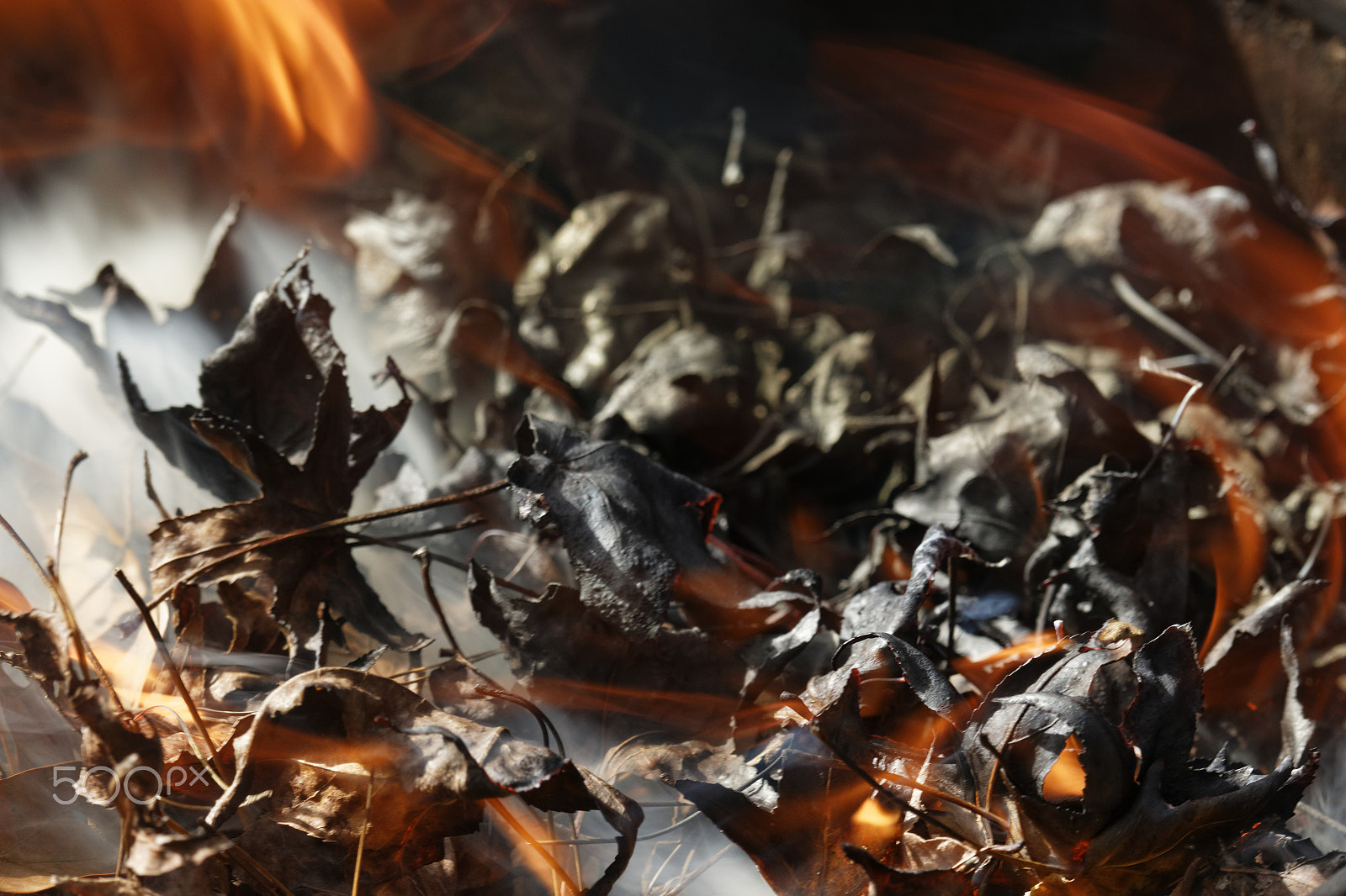 Canon EF-S 55-250mm F4-5.6 IS STM sample photo. Combustion photography