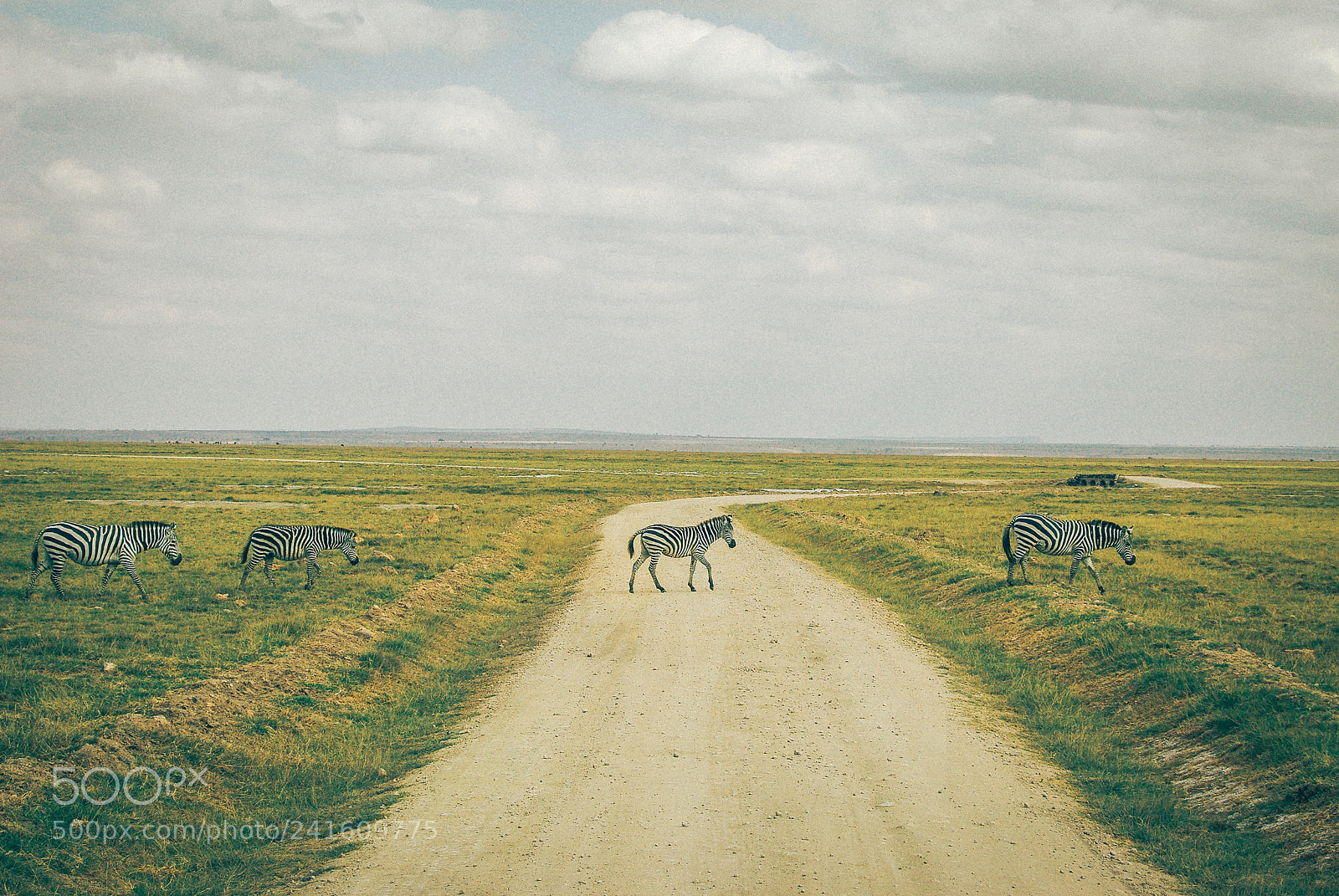 Pentax K200D sample photo. "abbey road" in kenya photography