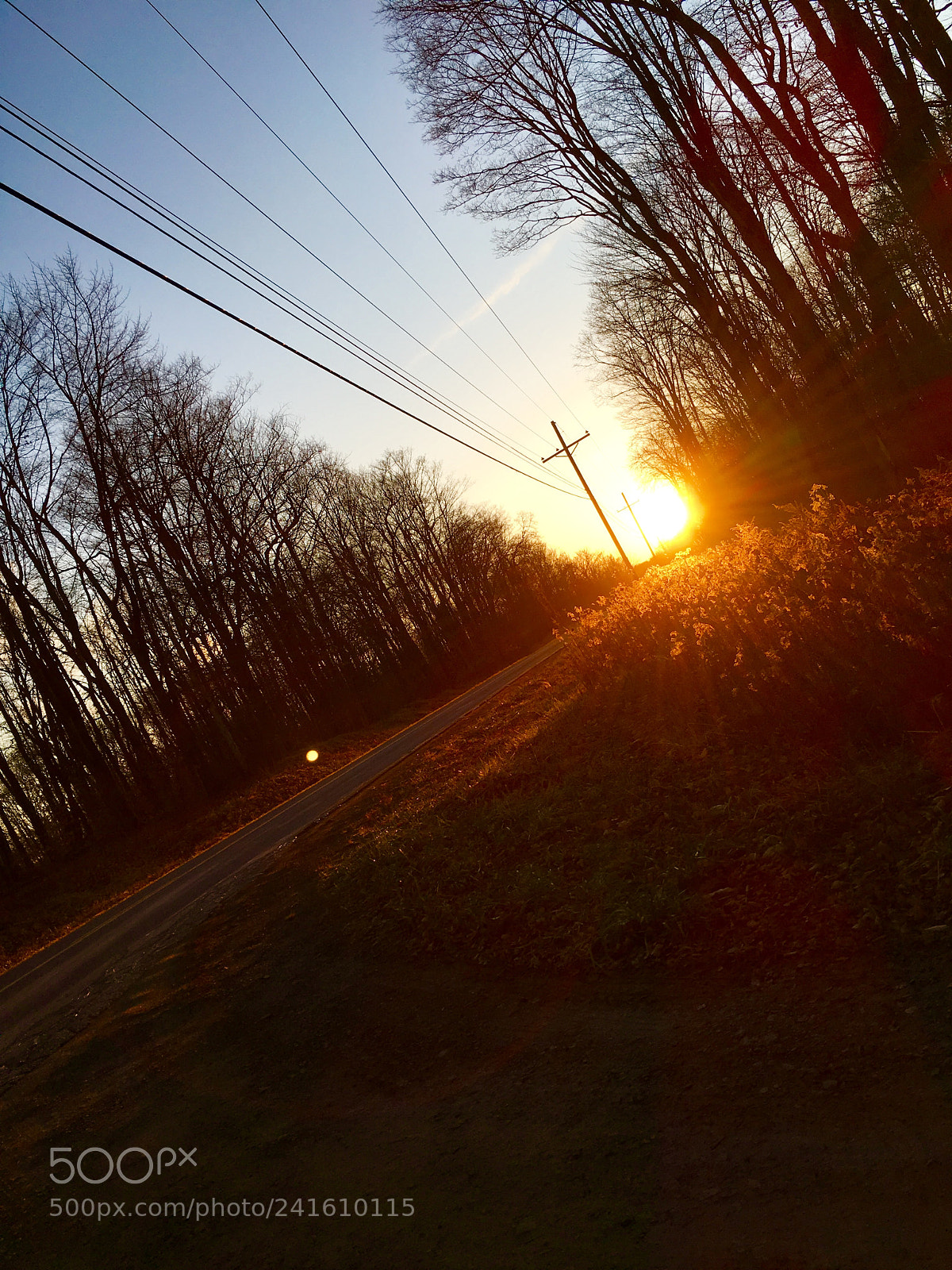 Apple iPhone 6s sample photo. Untitled photography