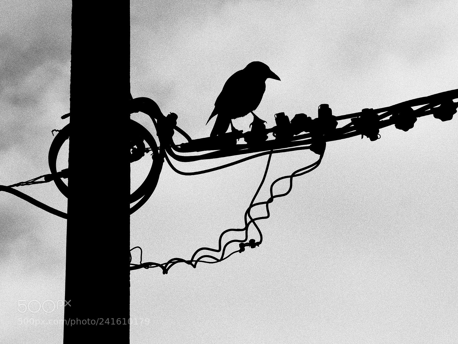 Olympus PEN-F sample photo. Lines photography