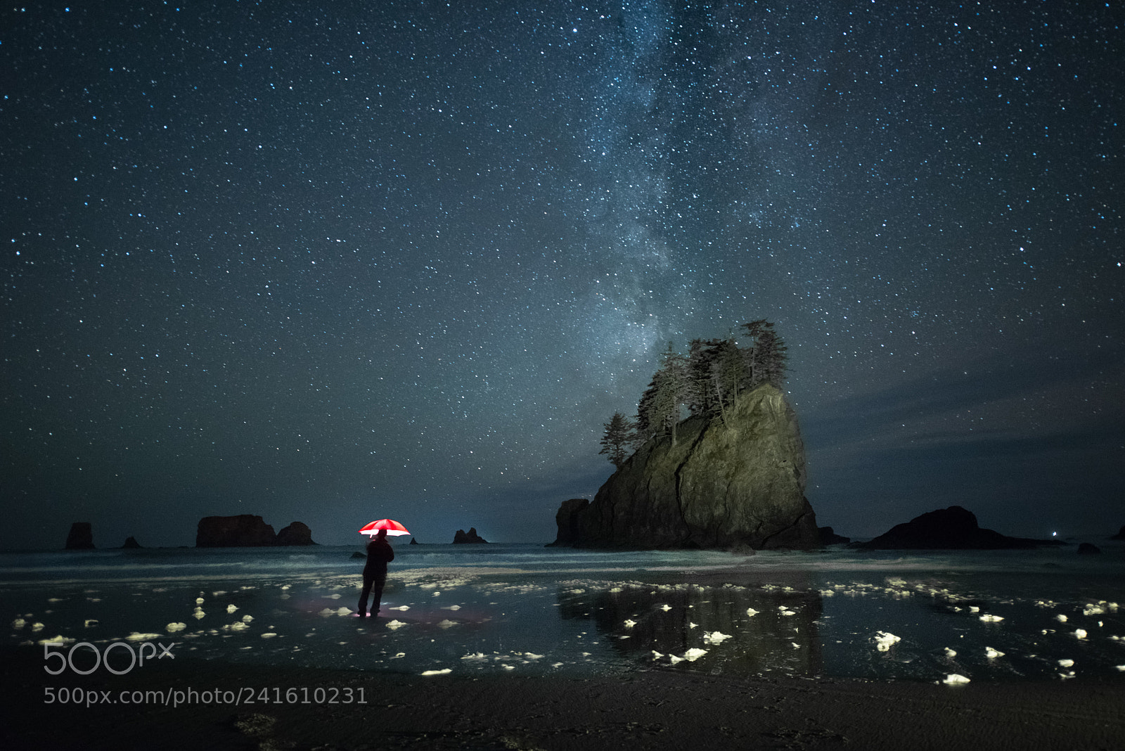Nikon D810 sample photo. Raining stars at second photography