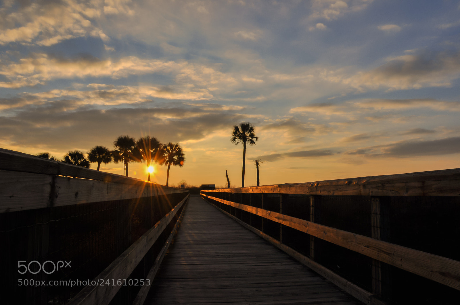 Nikon D90 sample photo. Sunset @ paynes prairie photography