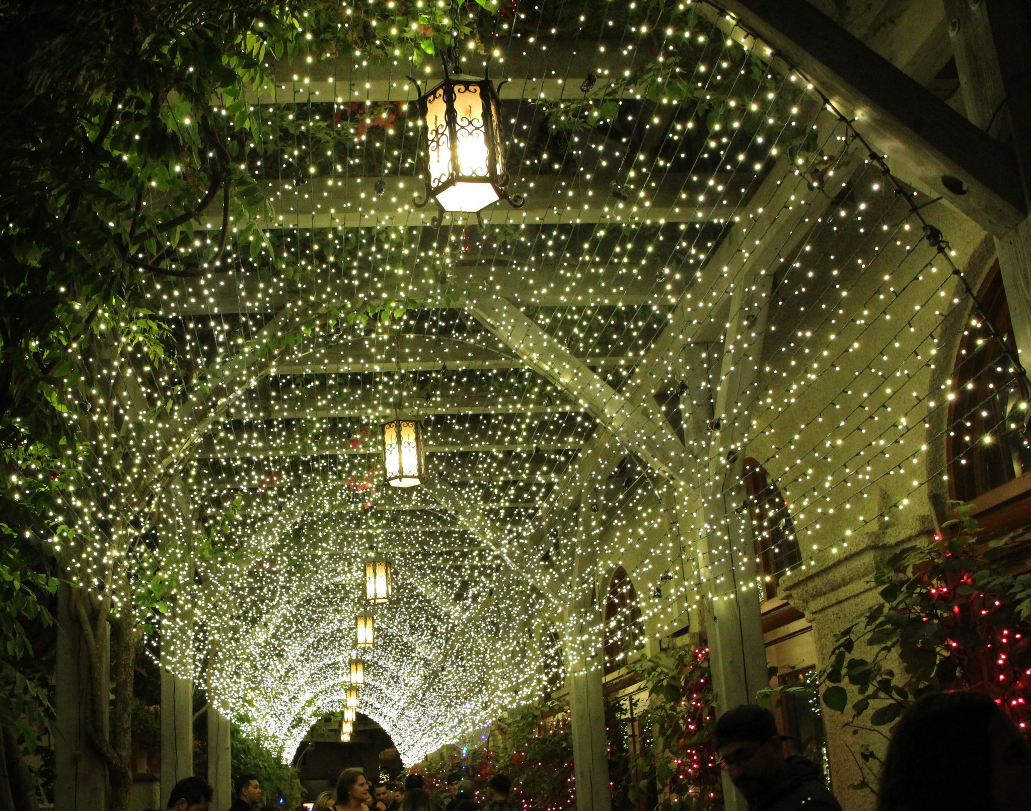 Canon EOS 700D (EOS Rebel T5i / EOS Kiss X7i) sample photo. Mission inn festival of lights photography