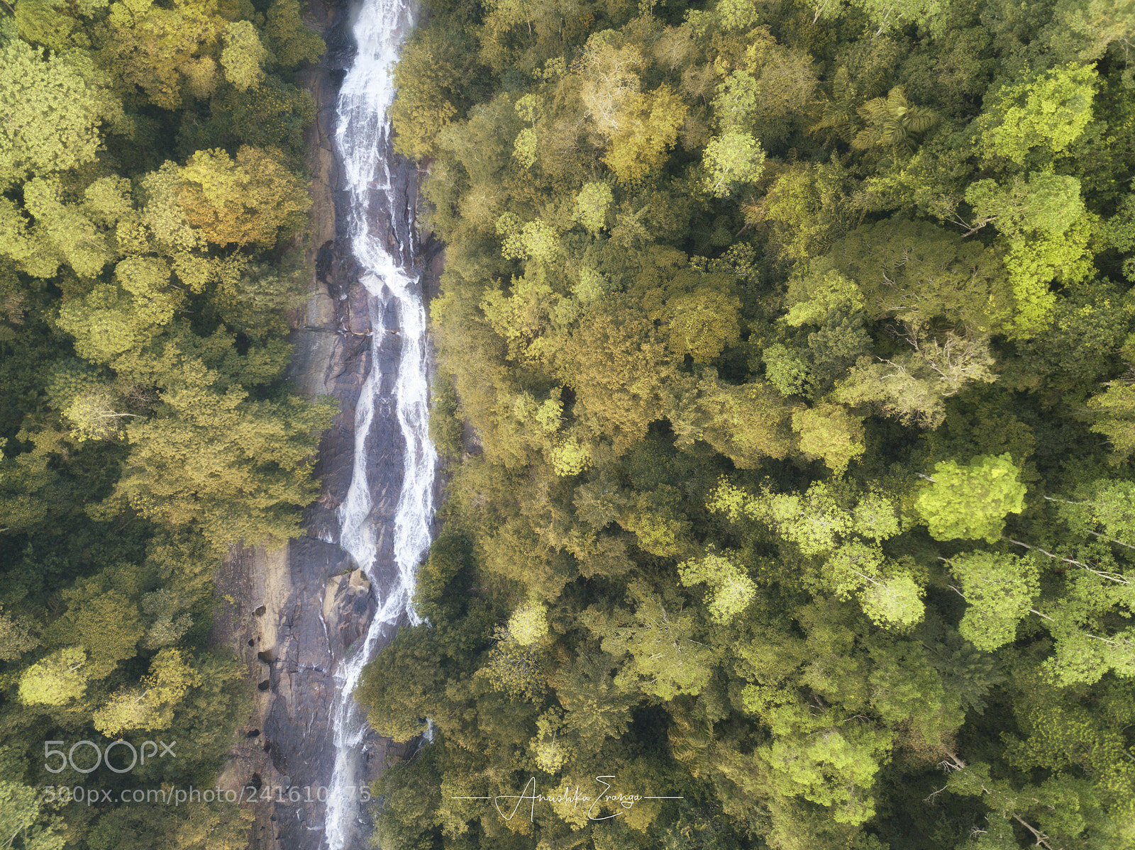 DJI FC220 sample photo. " hornswoggle " photography