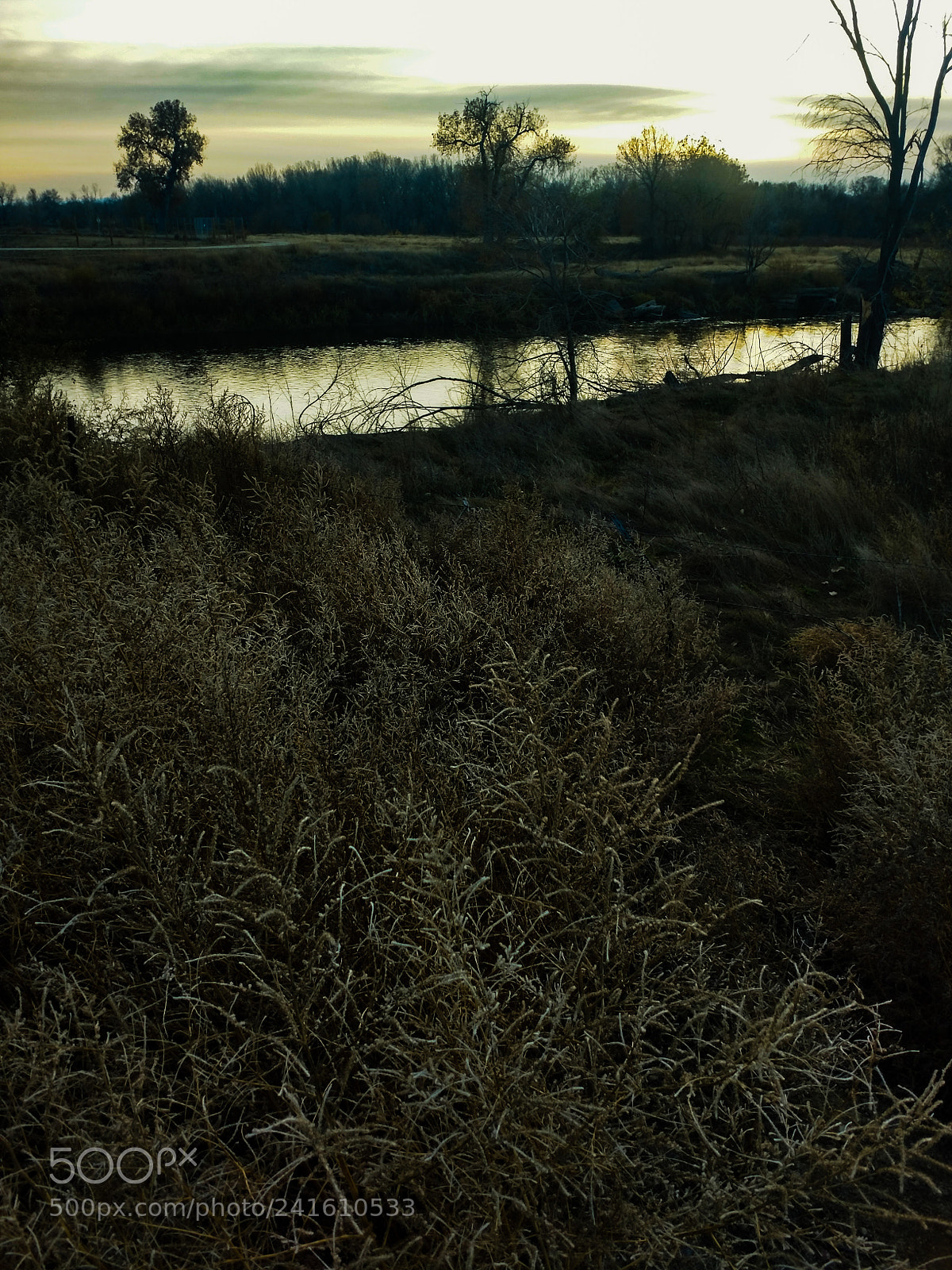 Motorola XT1650 sample photo. Sun dont go photography