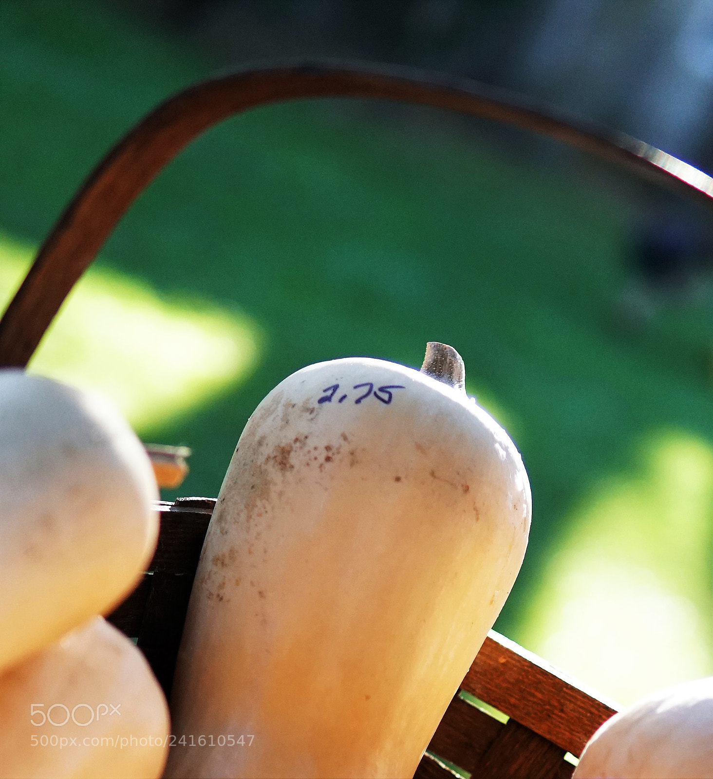 Sony a6500 sample photo. Squash at farmers mkt photography