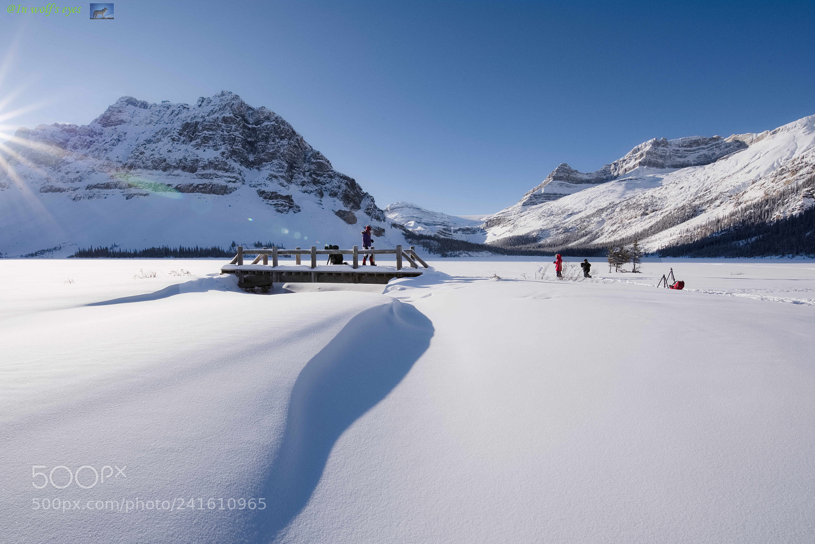 Nikon D810 sample photo. We love winter, canada photography