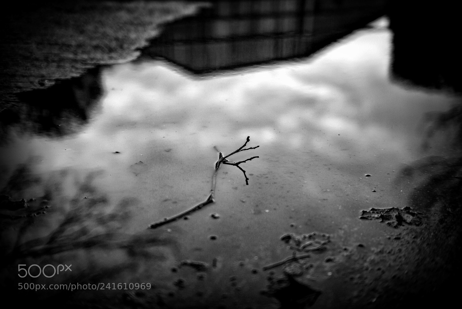 Leica M (Typ 240) sample photo. The simple things photography