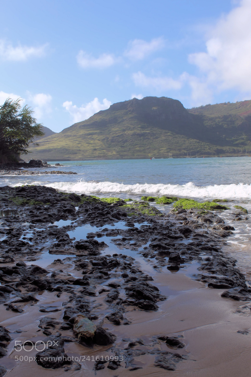 Canon EOS 1300D (EOS Rebel T6 / EOS Kiss X80) sample photo. Hawaiian shore photography