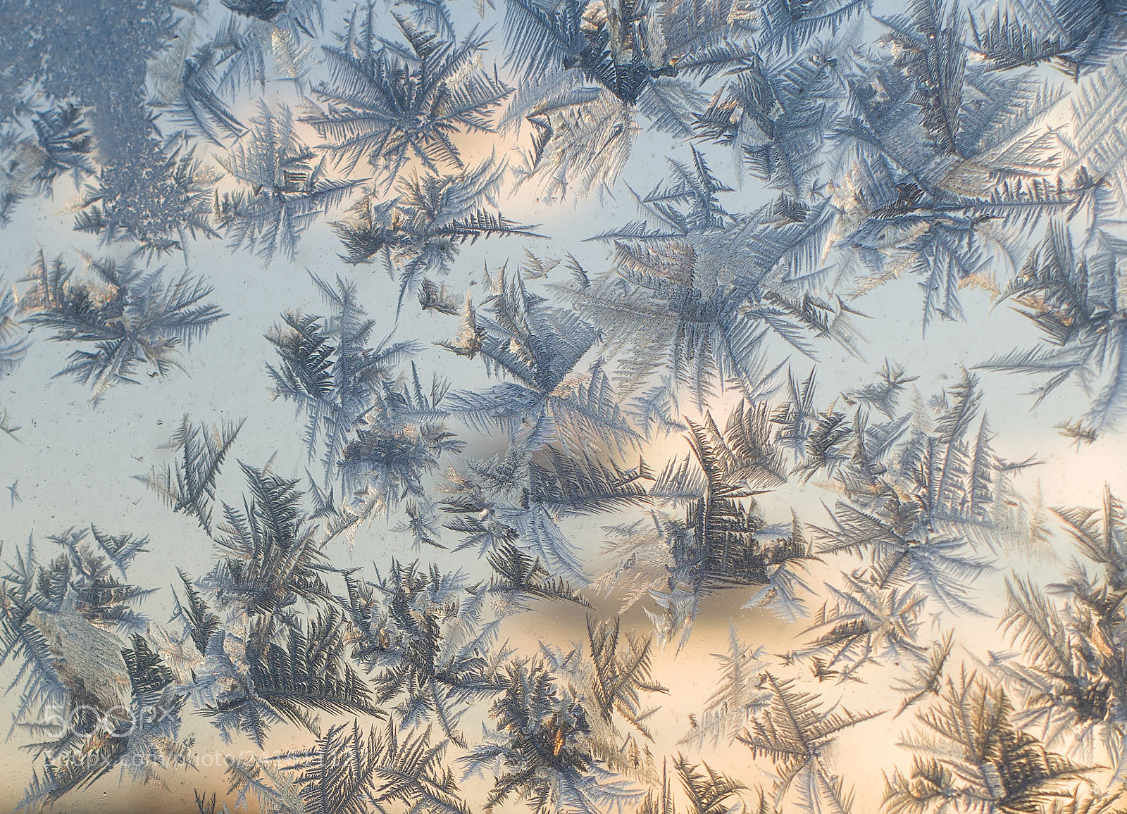 Pentax K-50 sample photo. Frost on the window photography