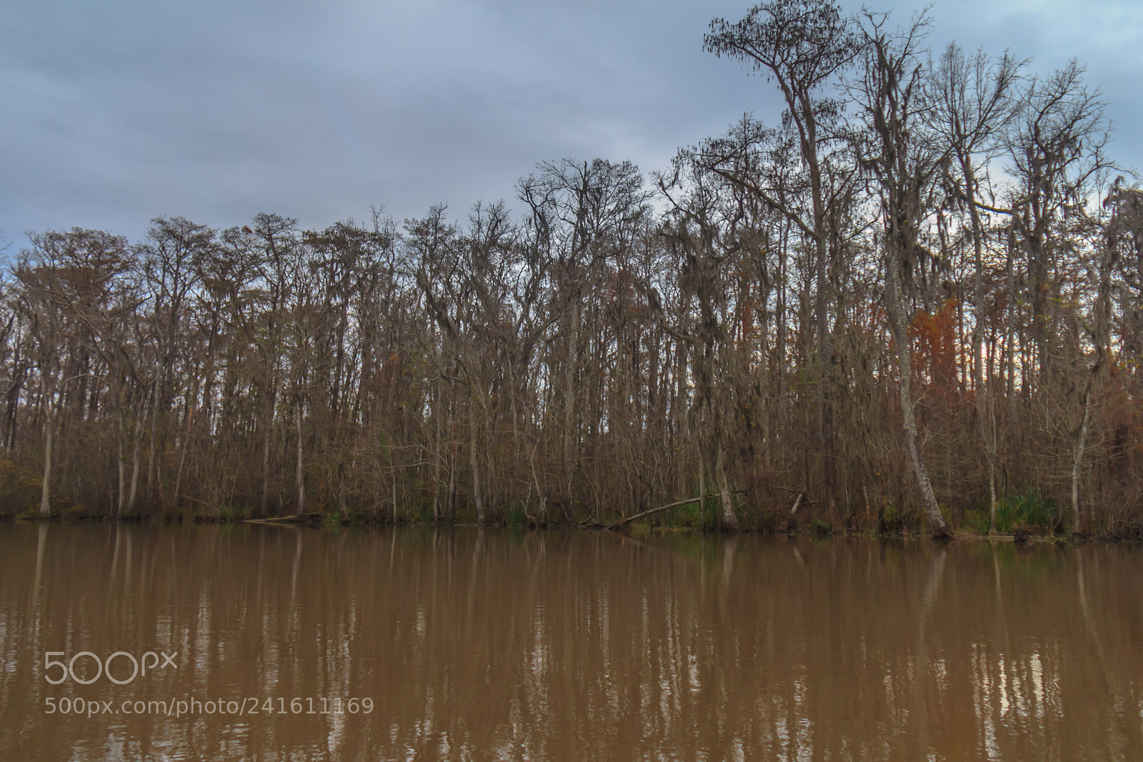 Canon EOS 60D sample photo. Ent marsh #3 photography