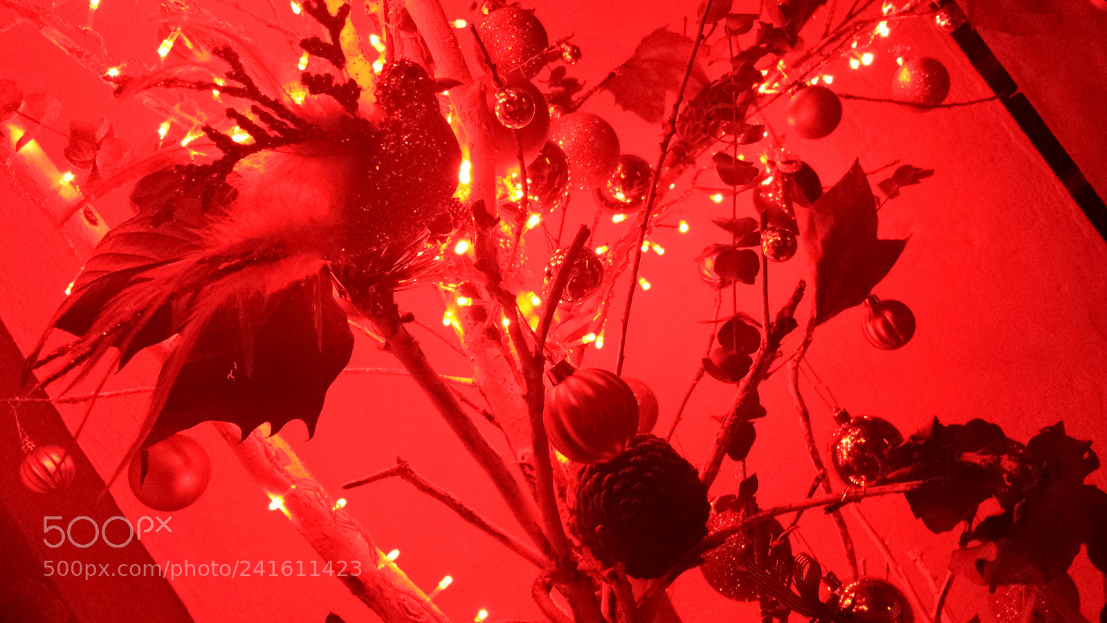 Samsung Galaxy S4 sample photo. Fire photography
