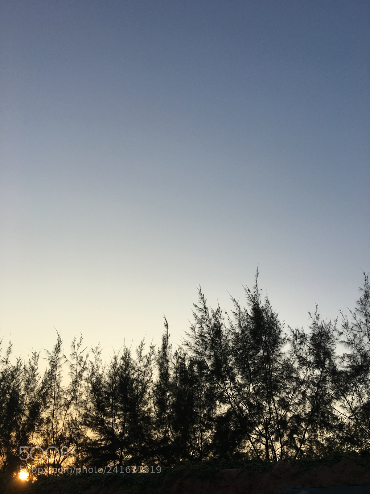 Apple iPhone 6s sample photo. Sky is never the photography