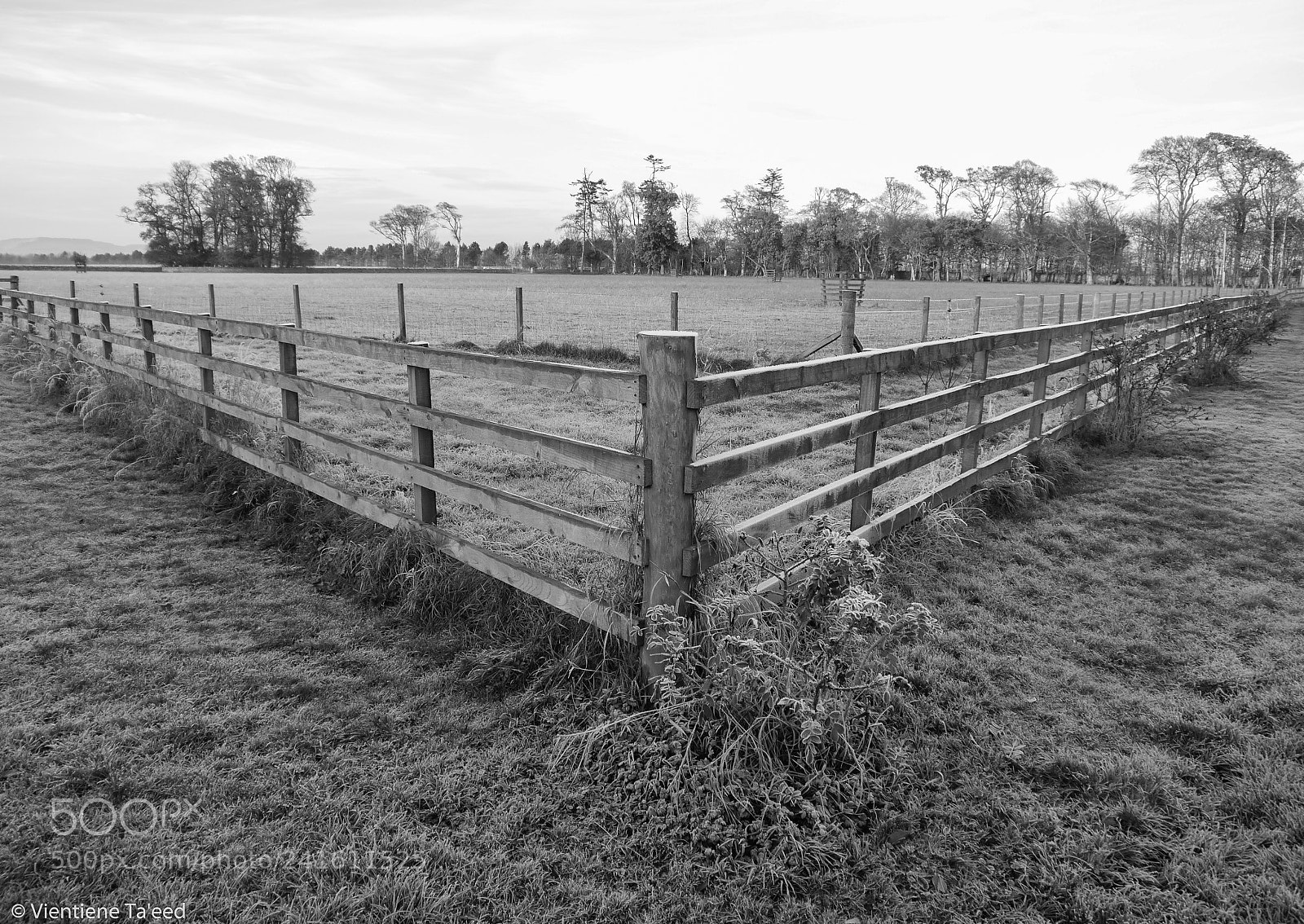 Panasonic Lumix DMC-G5 sample photo. Frosty fencing photography