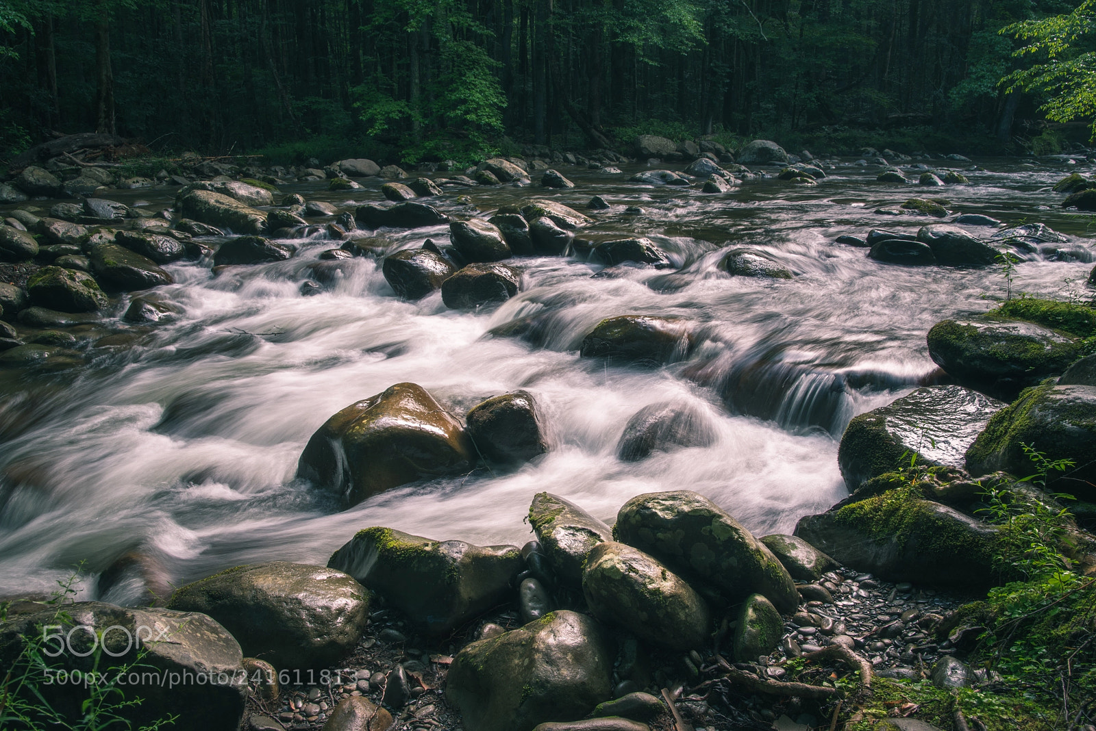 Pentax K-1 sample photo. Tennessee little pigeon river photography