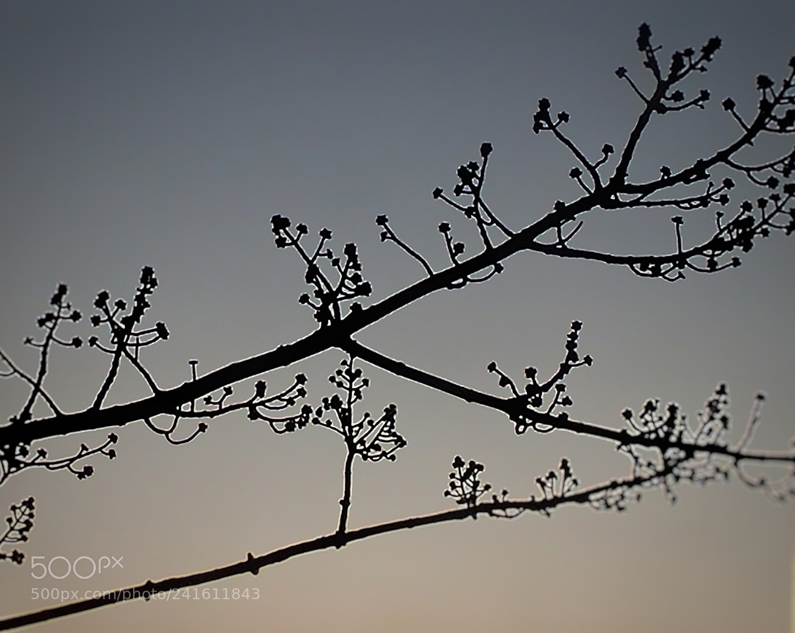 LG G5 sample photo. Winter evening sky photography