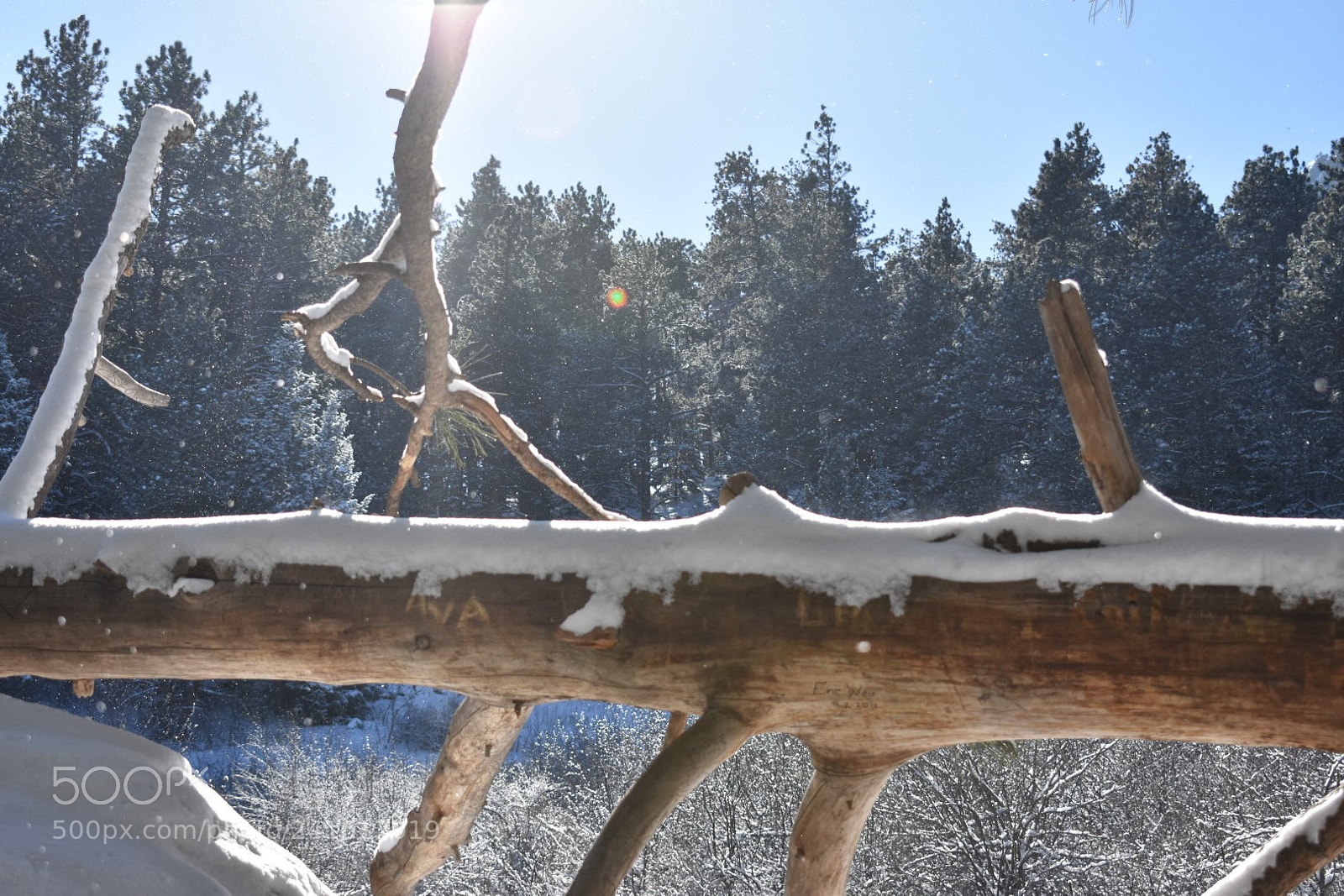 Nikon D3400 sample photo. Serenity, snow, silence photography