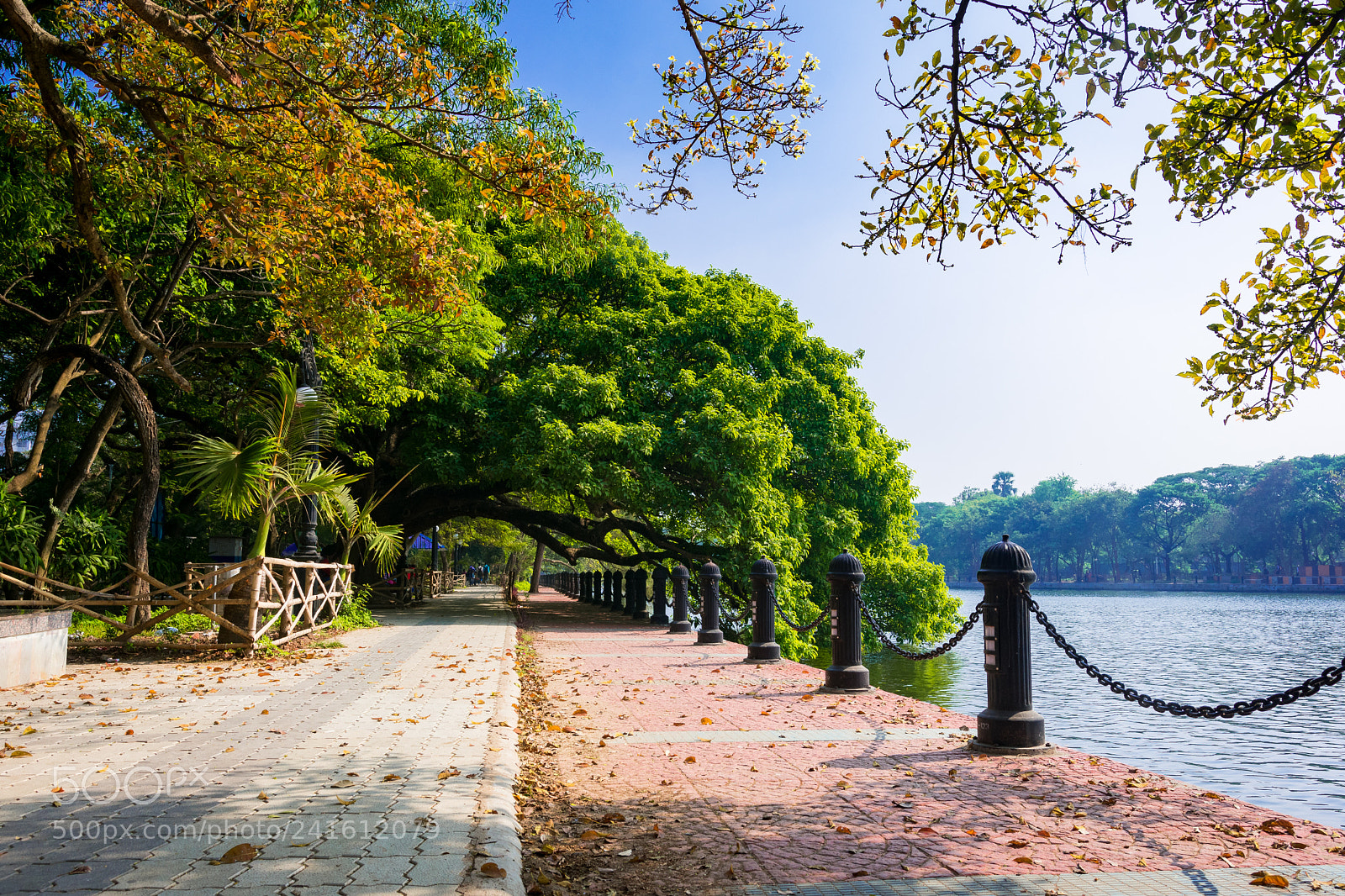 Nikon D3400 sample photo. Morning walk by the photography
