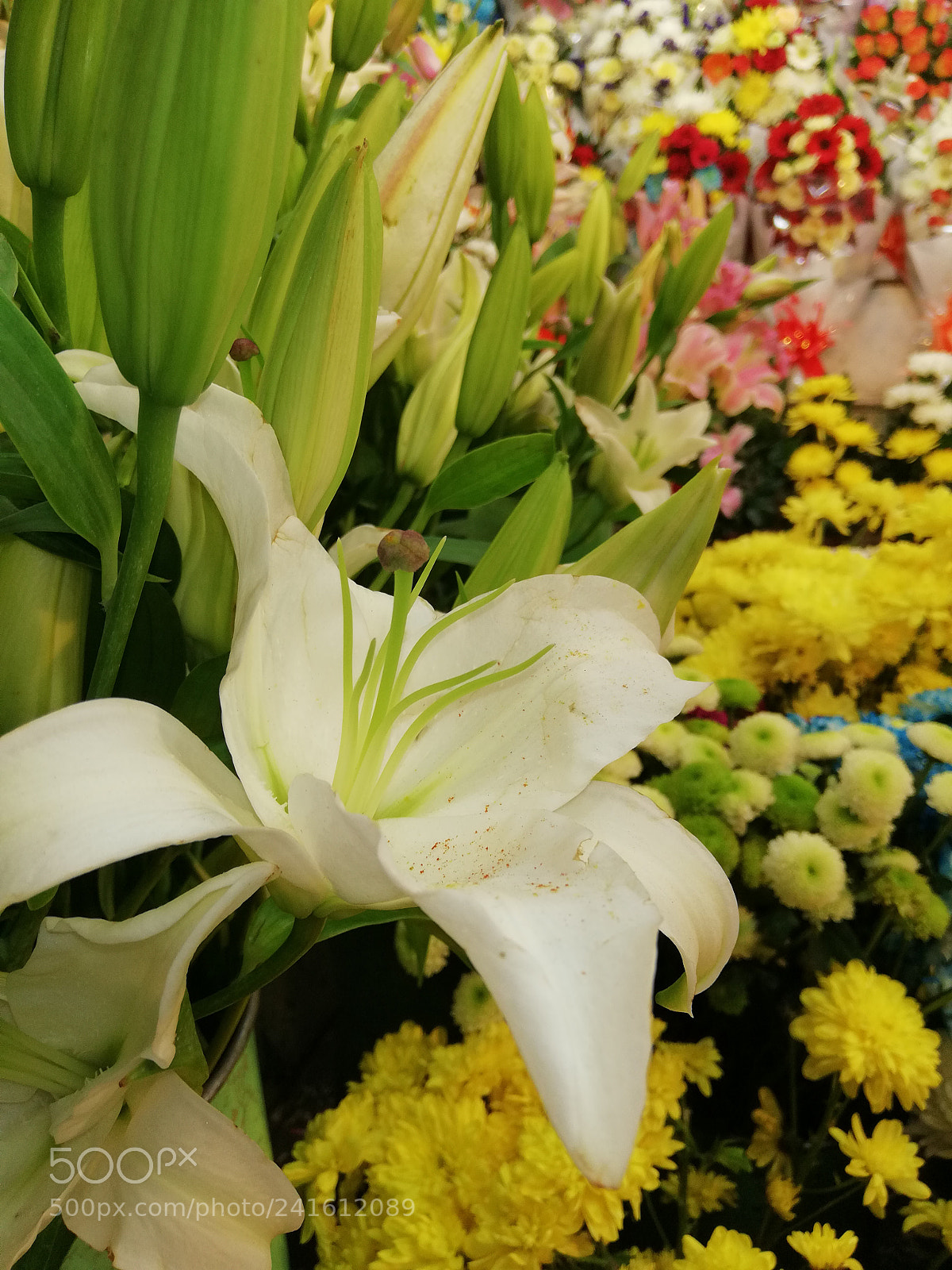 HUAWEI nova 2i sample photo. Untitled photography