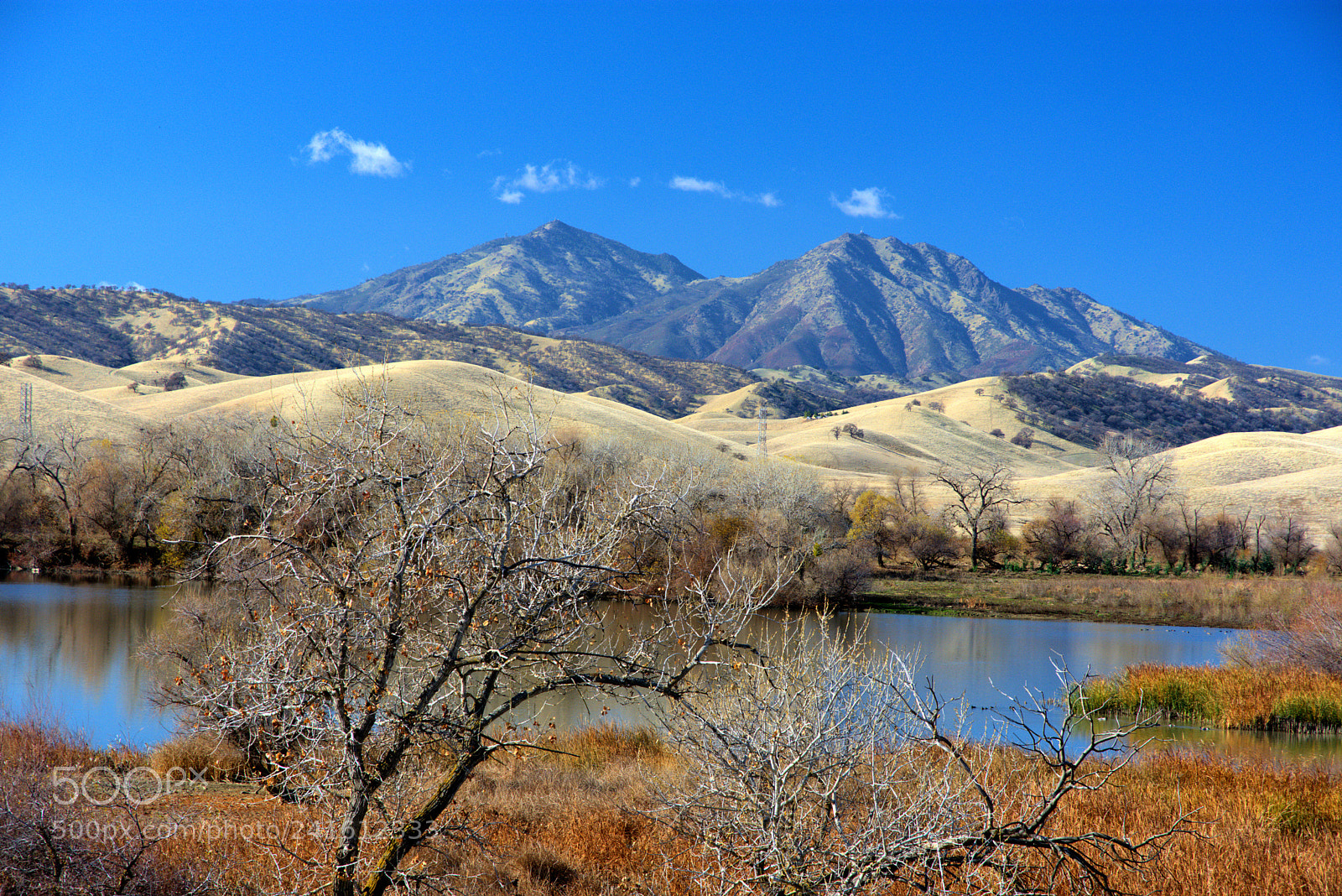 Nikon D7200 sample photo. A january view of photography