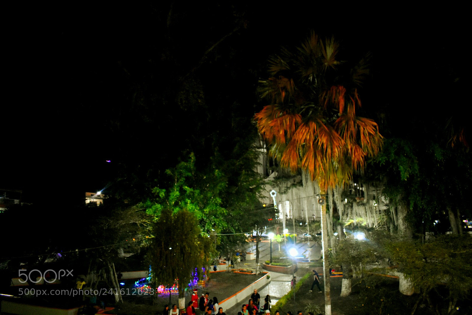 Nikon D3400 sample photo. Untitled photography