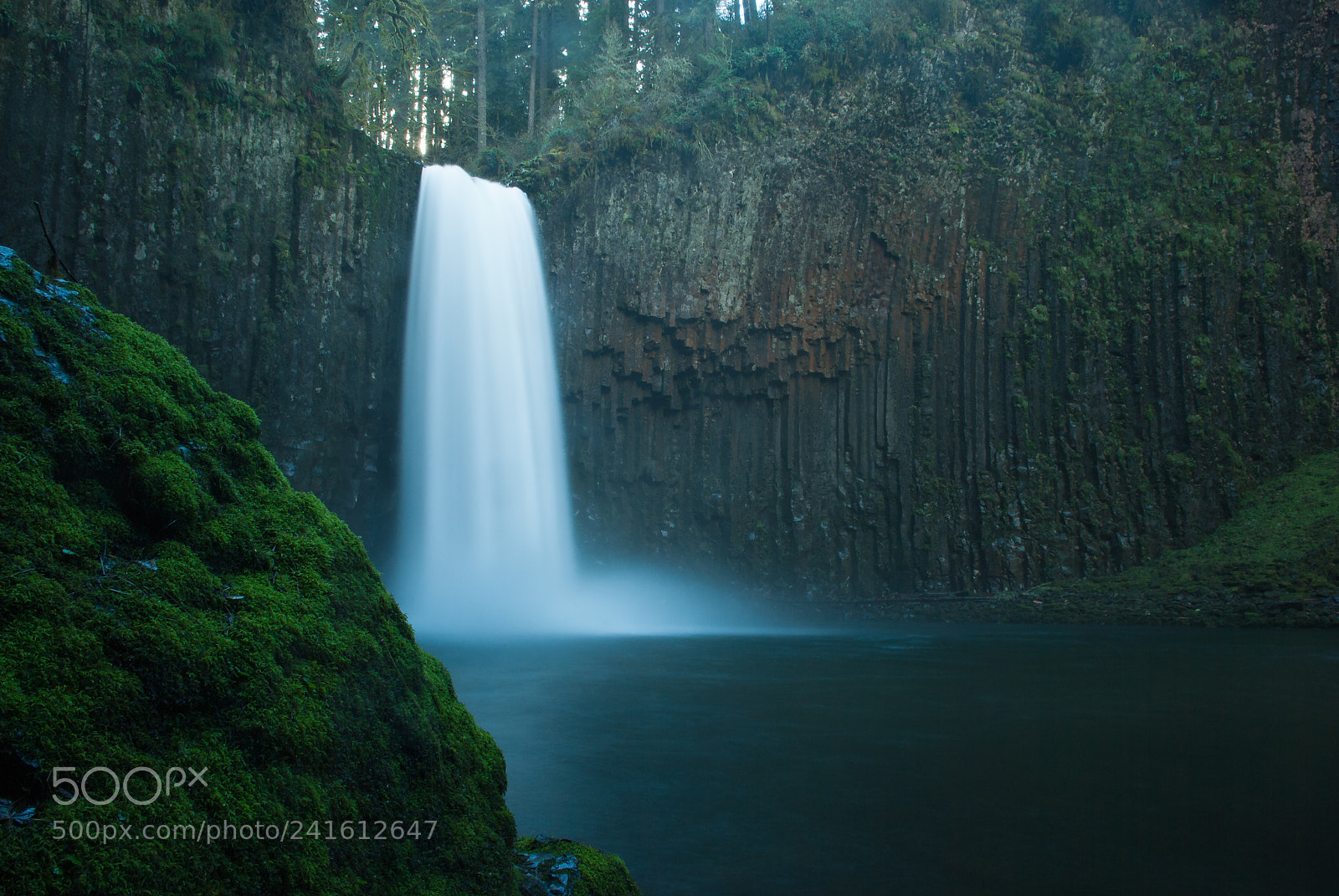 Nikon D40X sample photo. Abiqua falls photography
