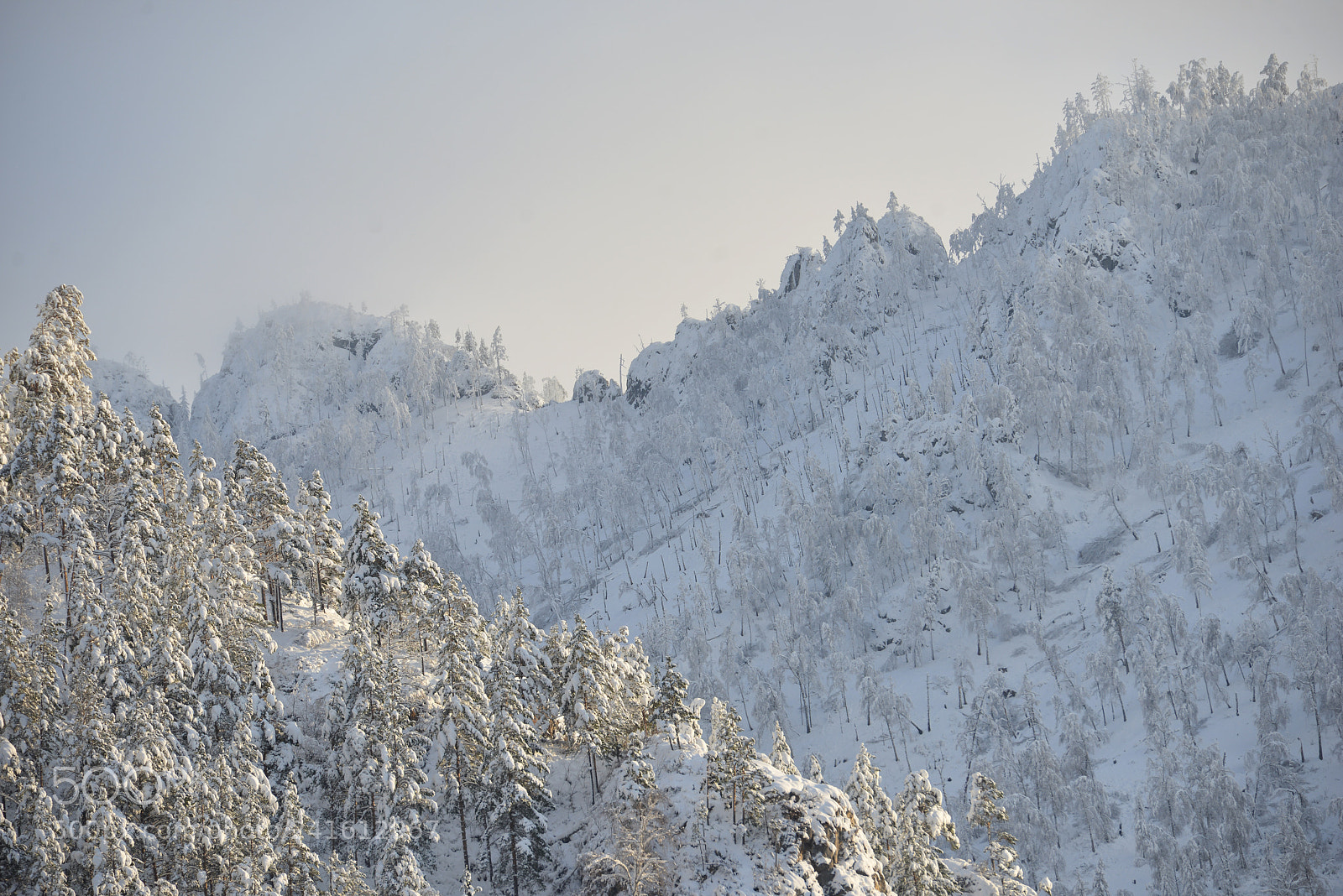 Nikon D800E sample photo. Altai mountains photography